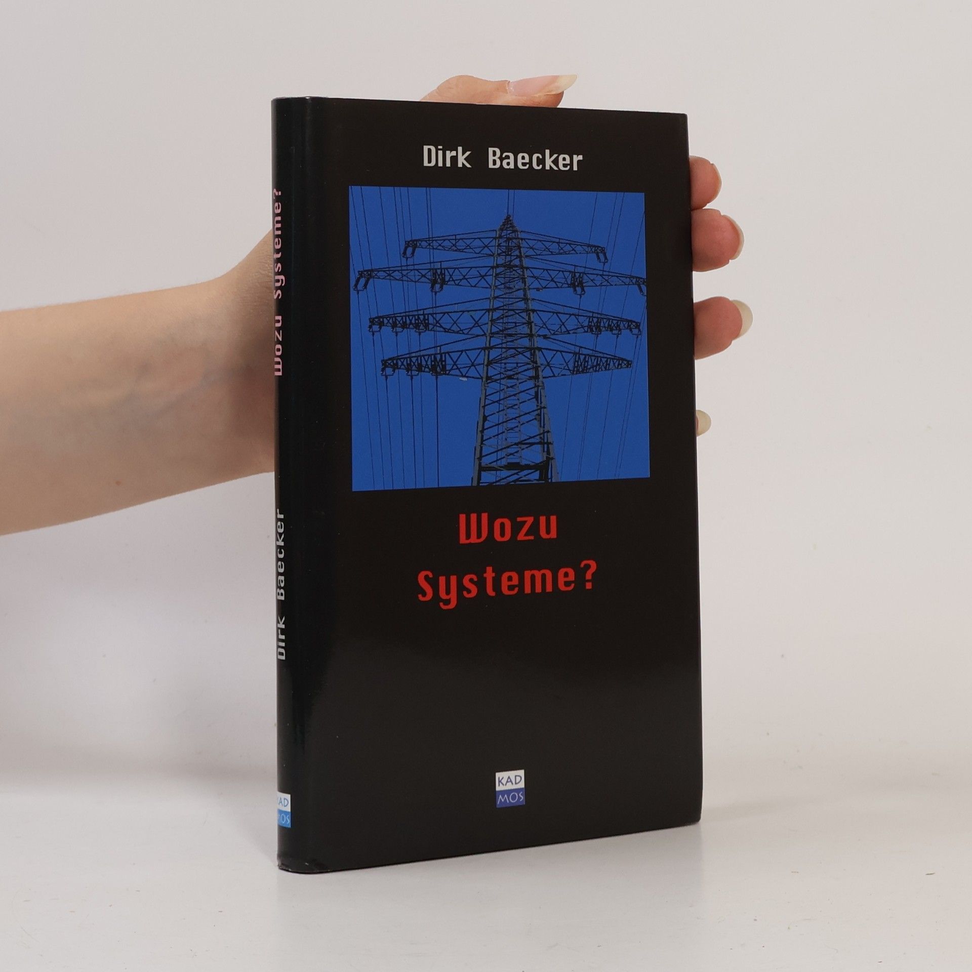Dirk Baecker Wozu Systeme?