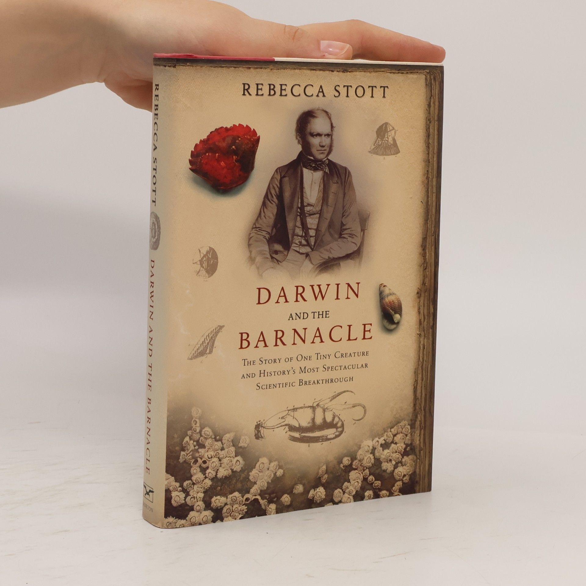 Darwin and the Barnacle