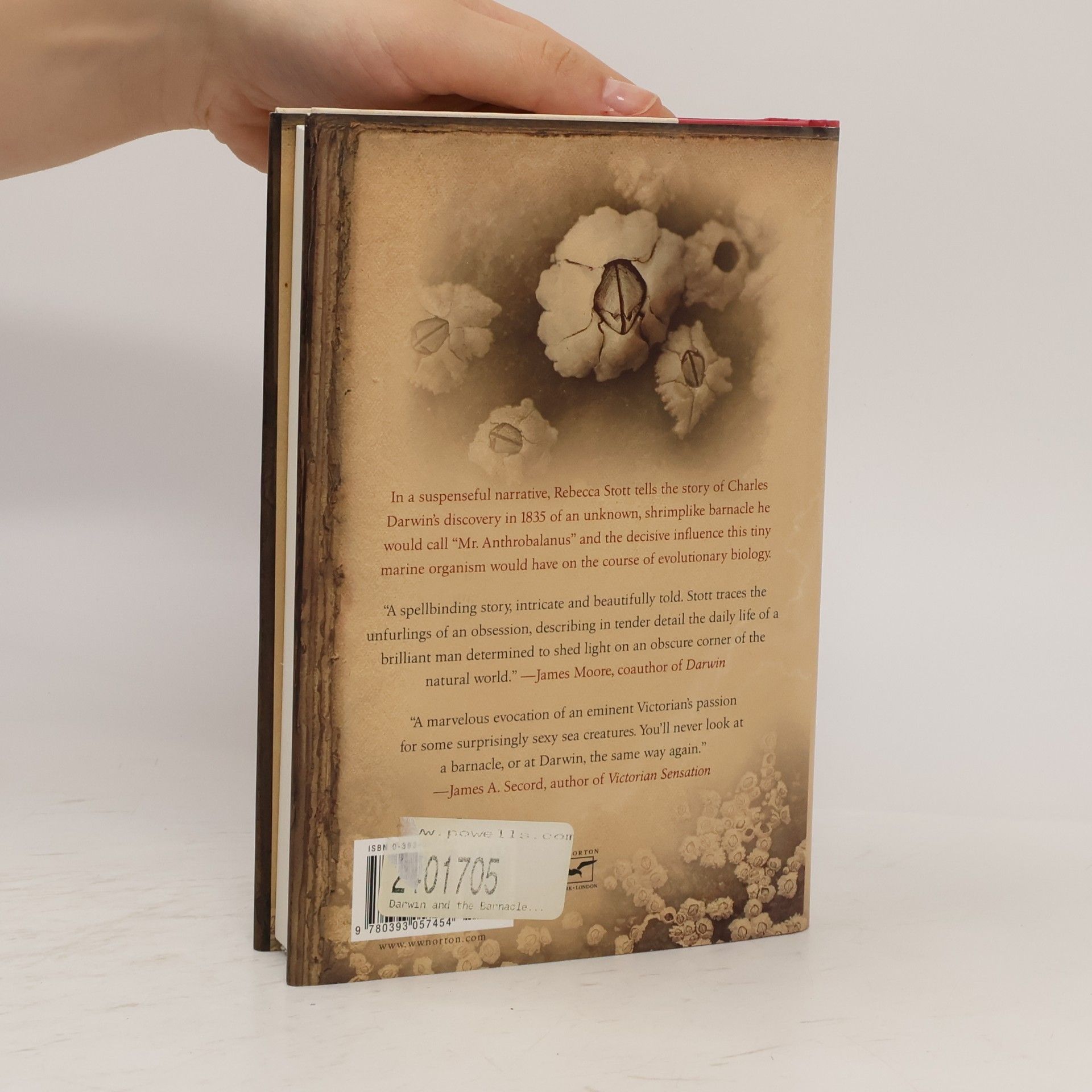 Rebecca Stott Darwin and the Barnacle