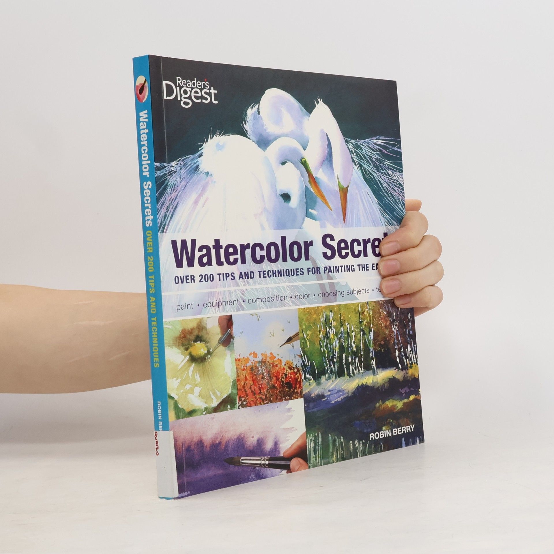 Robin Berry Watercolor Secrets