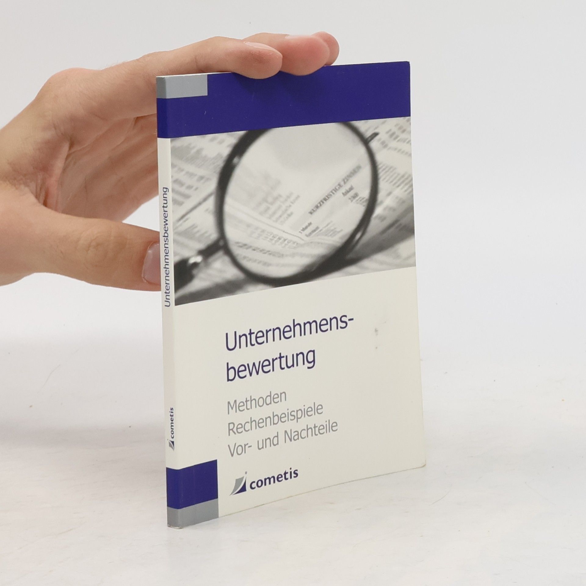 Michael Diegelmann Unternehmensbewertung
