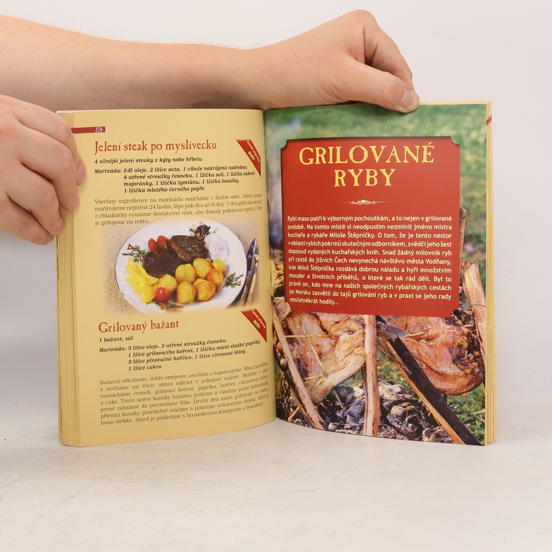 Alena Winnerová Grilování : kuchařka : 365 jednoduchých, dobrých a rychlých receptů