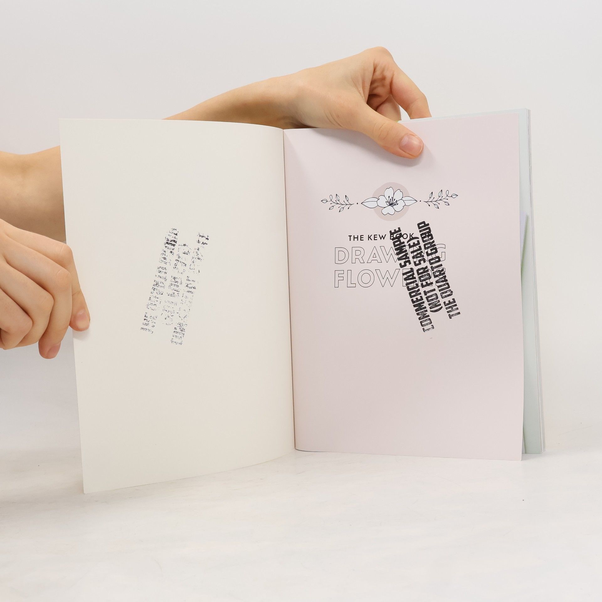 Bianca Giarola The Kew Book of Drawing Flowers