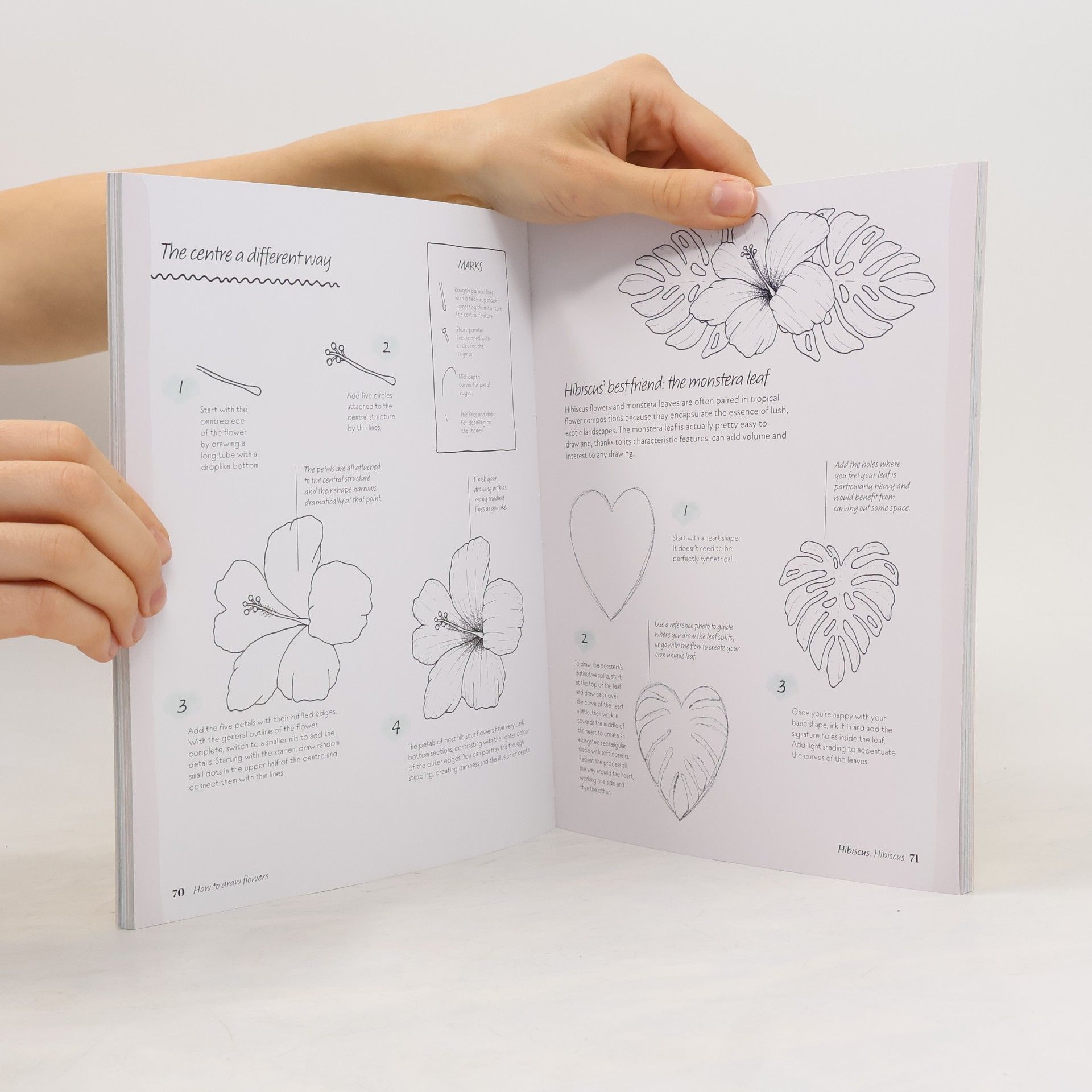 Bianca Giarola The Kew Book of Drawing Flowers