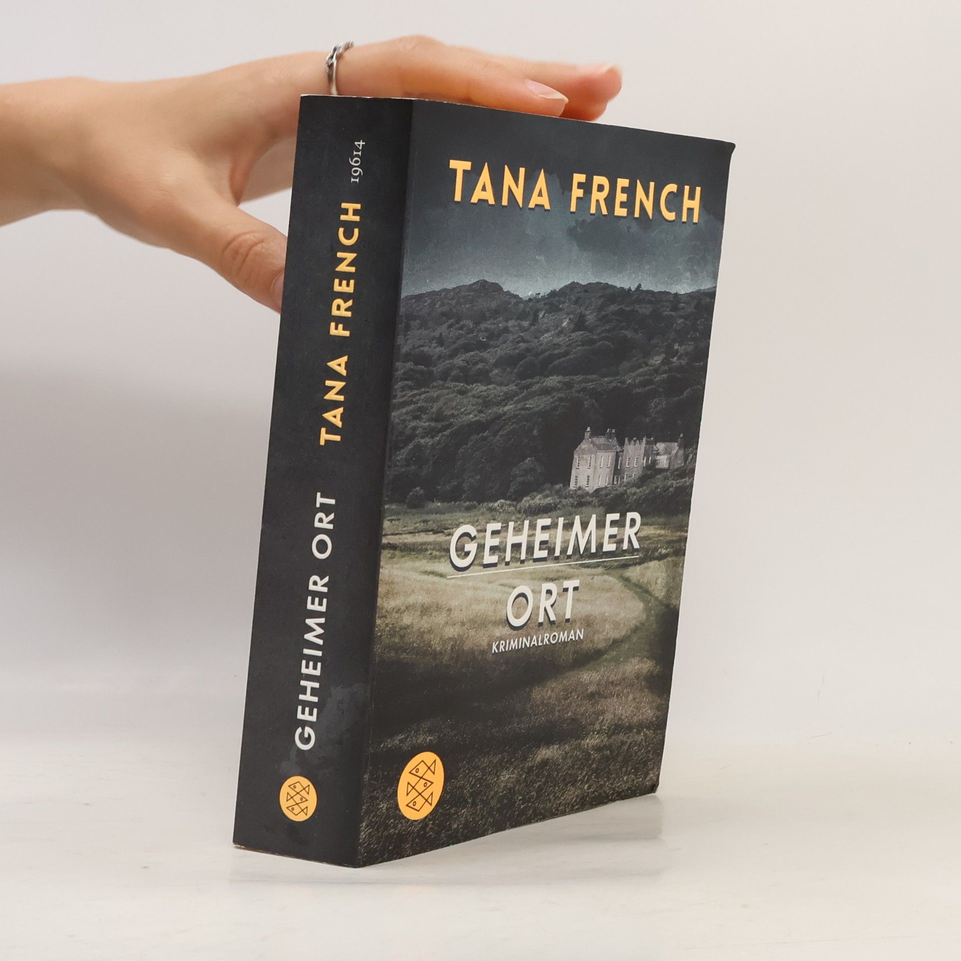 Tana French Geheimer Ort