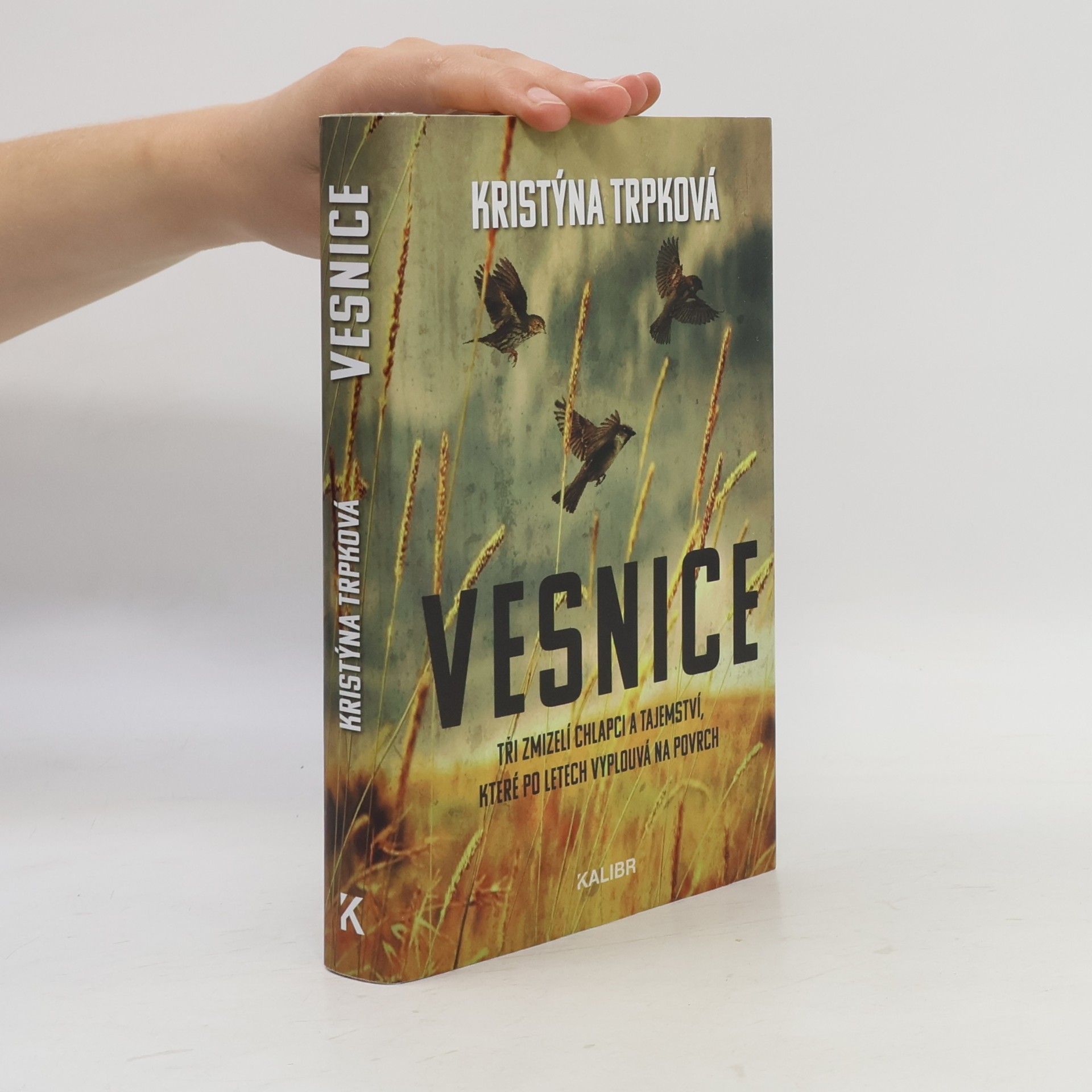 Kristýna Trpková Vesnice