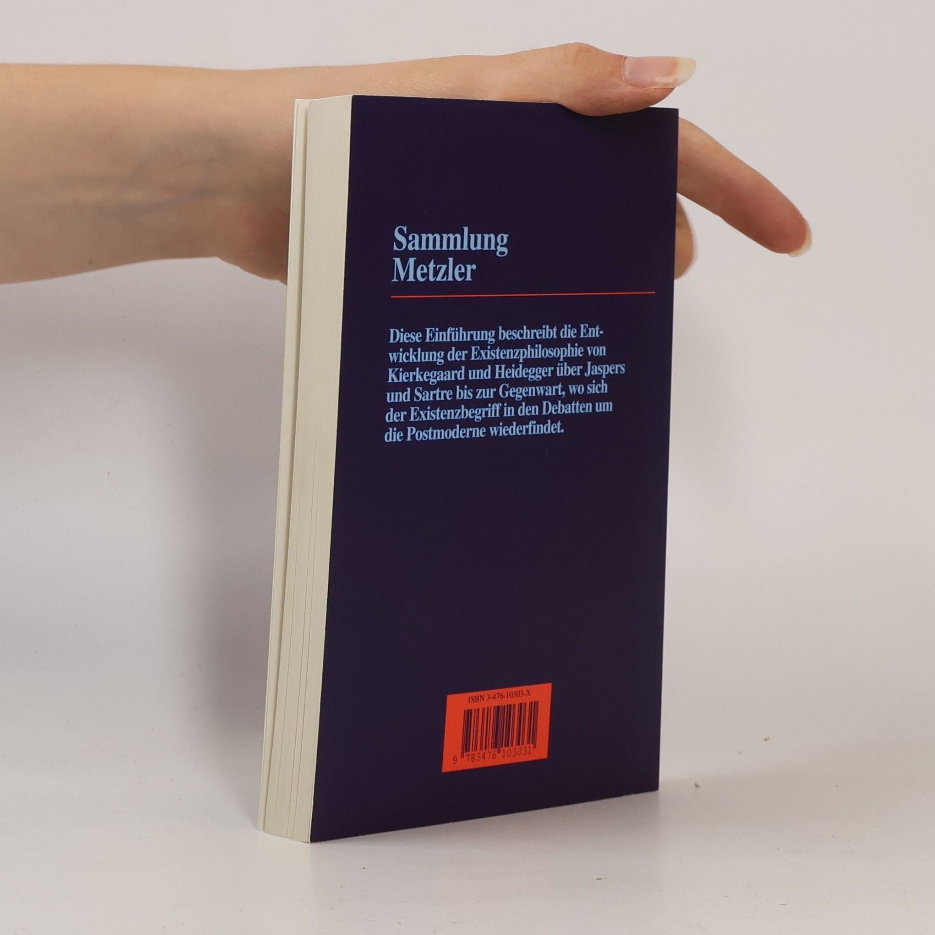 Thomas Seibert Sammlung Metzler - 303: Existenzphilosophie