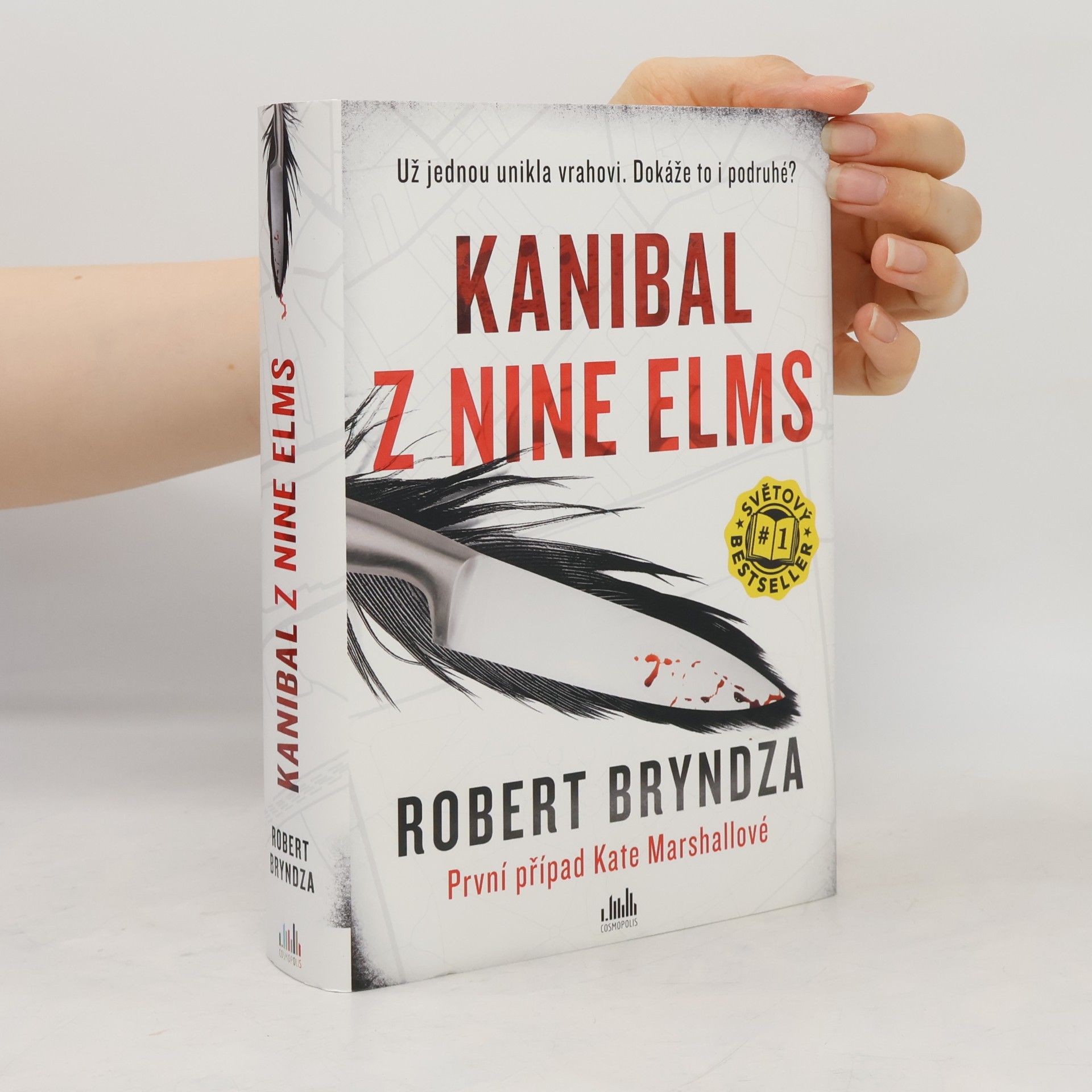 Robert Bryndza Kanibal z Nine Elms
