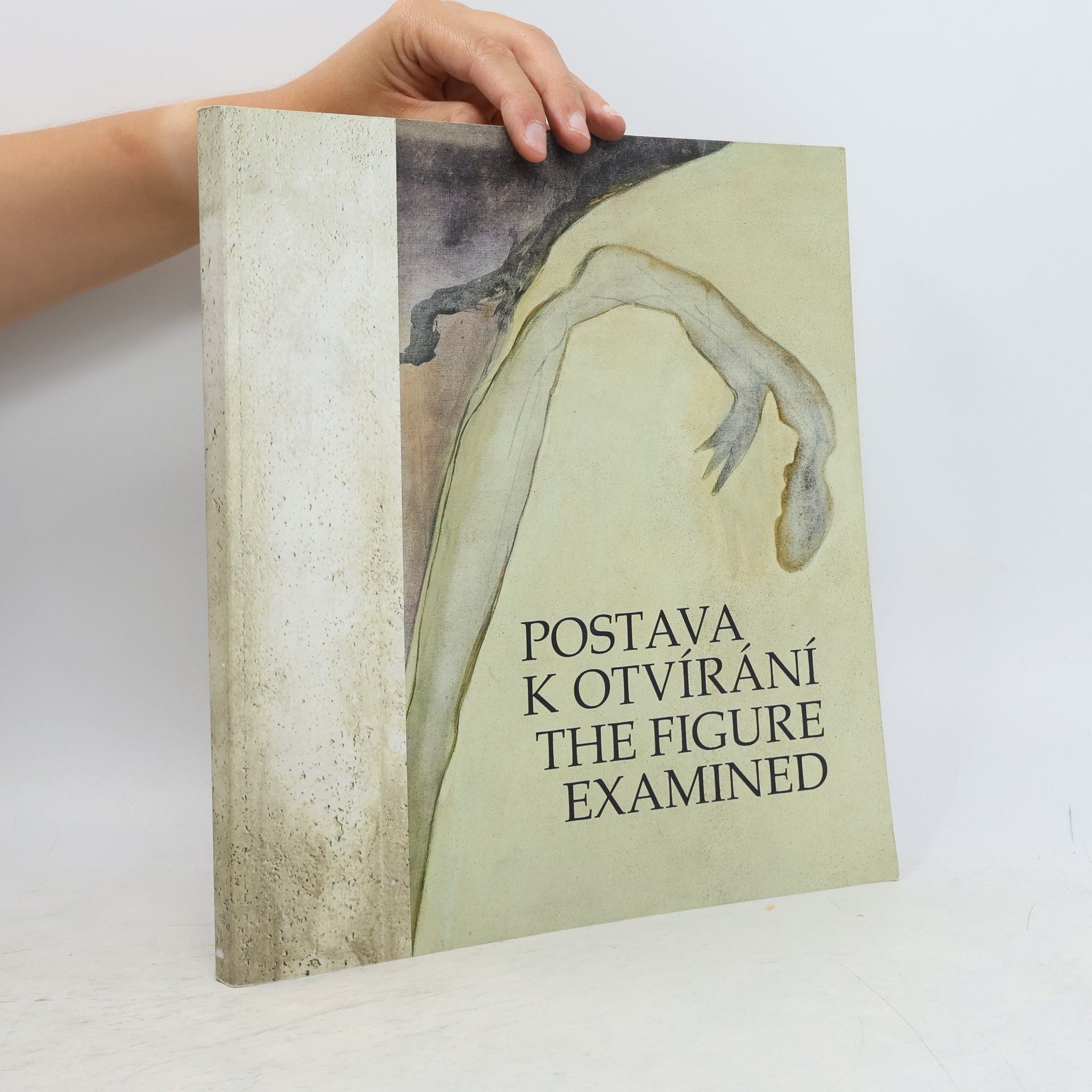 Zuzana Nováčková Postava k otvírání = The figure examined