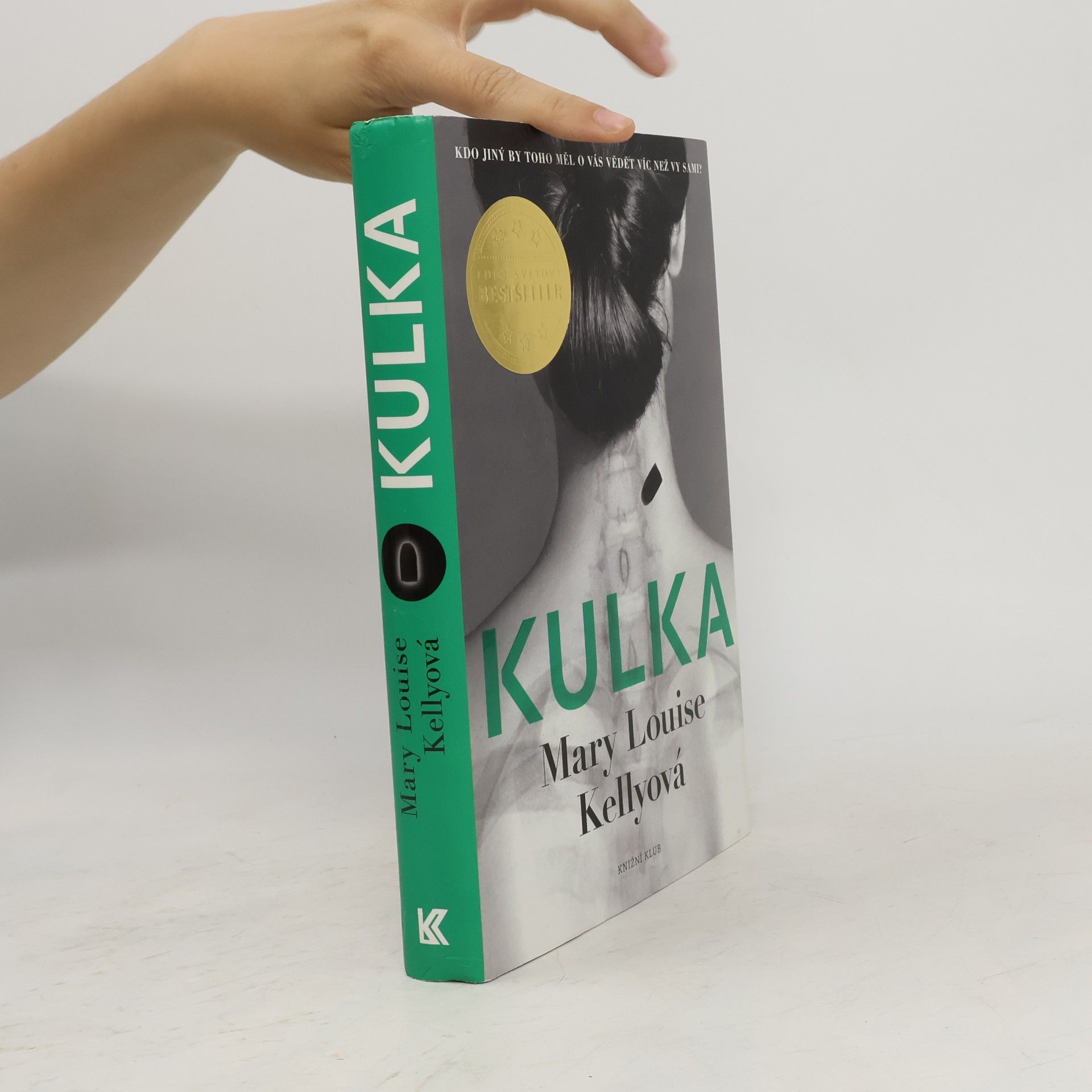 Mary Louise Kelly Kulka