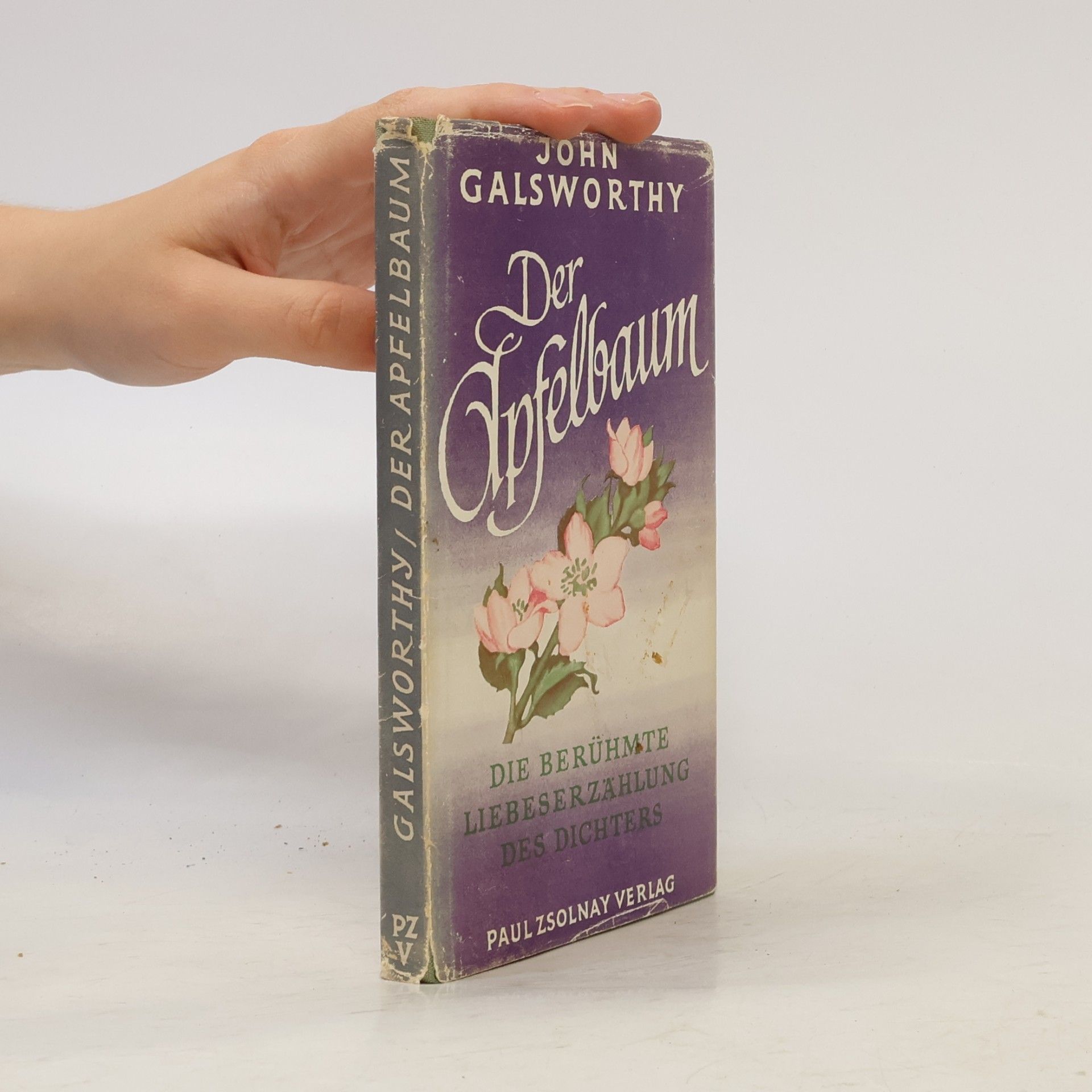 John Galsworthy Der Apfelbaum