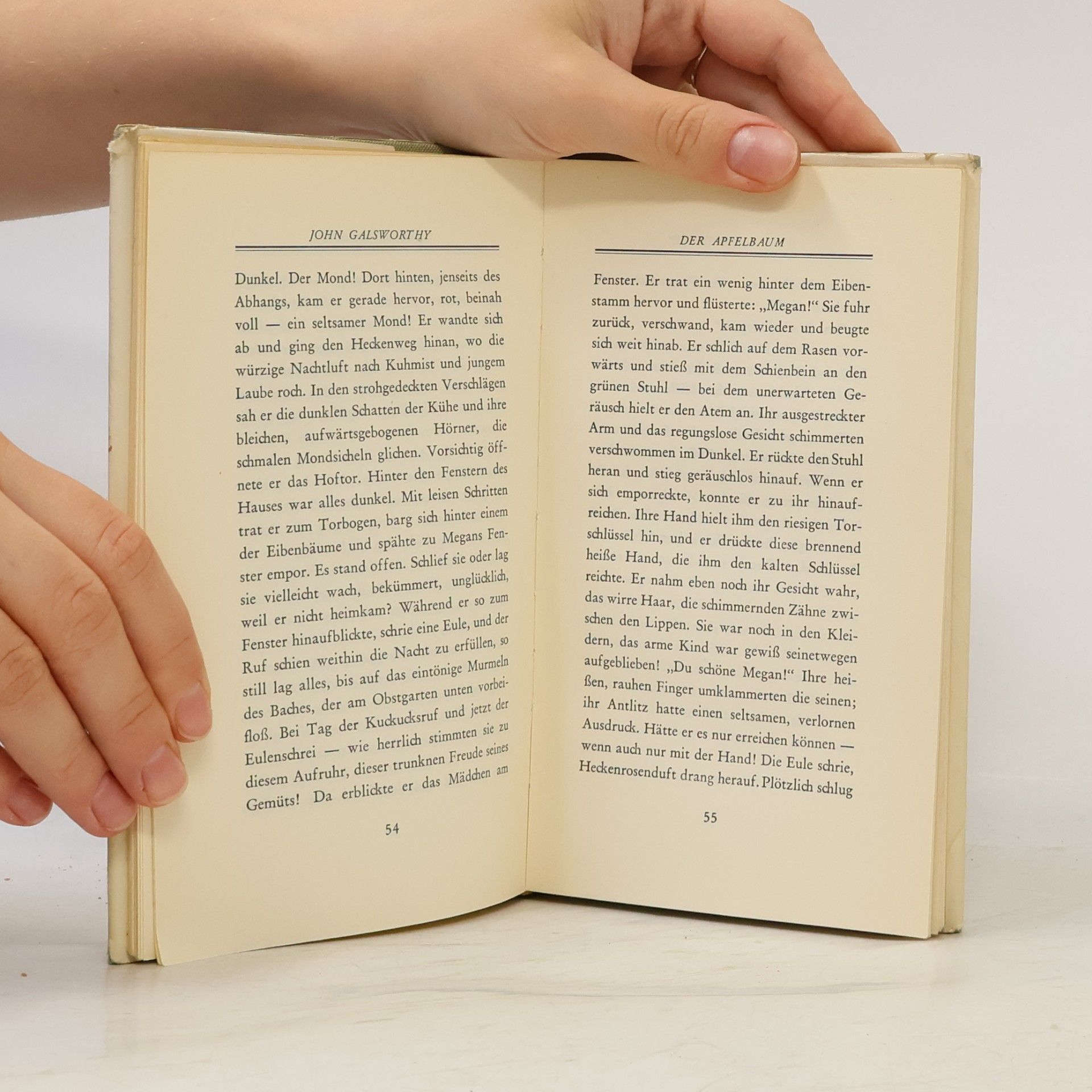 John Galsworthy Der Apfelbaum