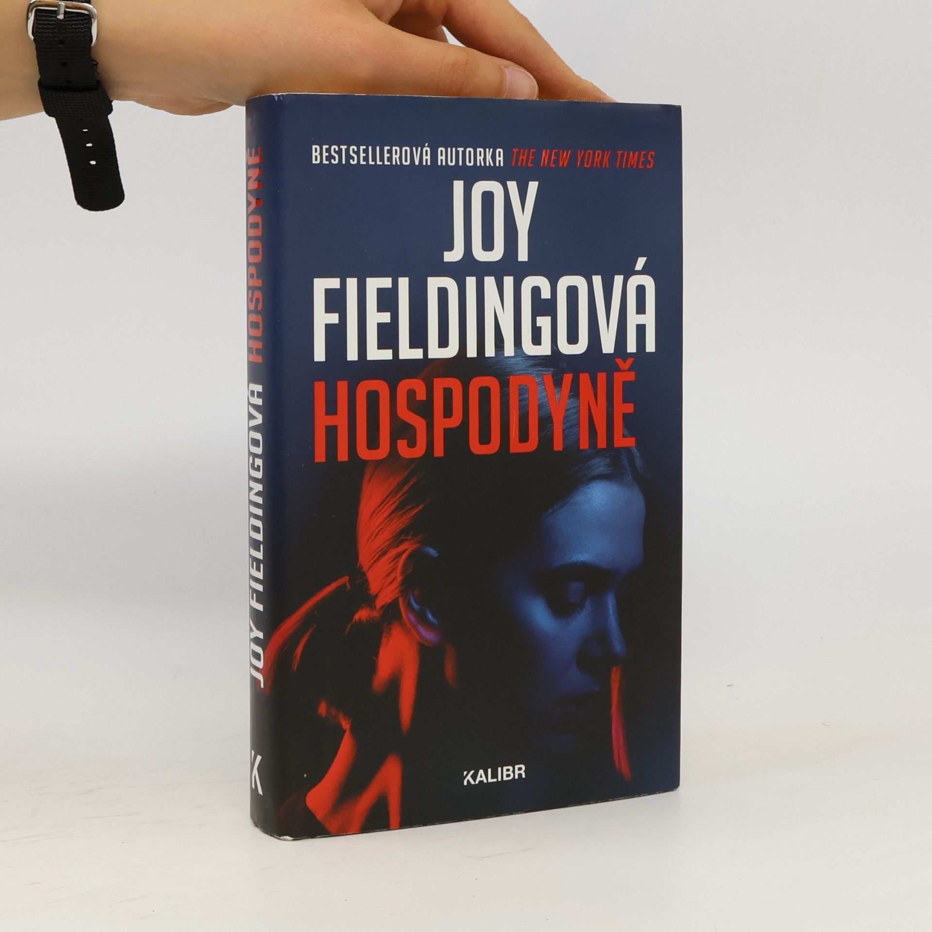 Joy Fielding Hospodyně