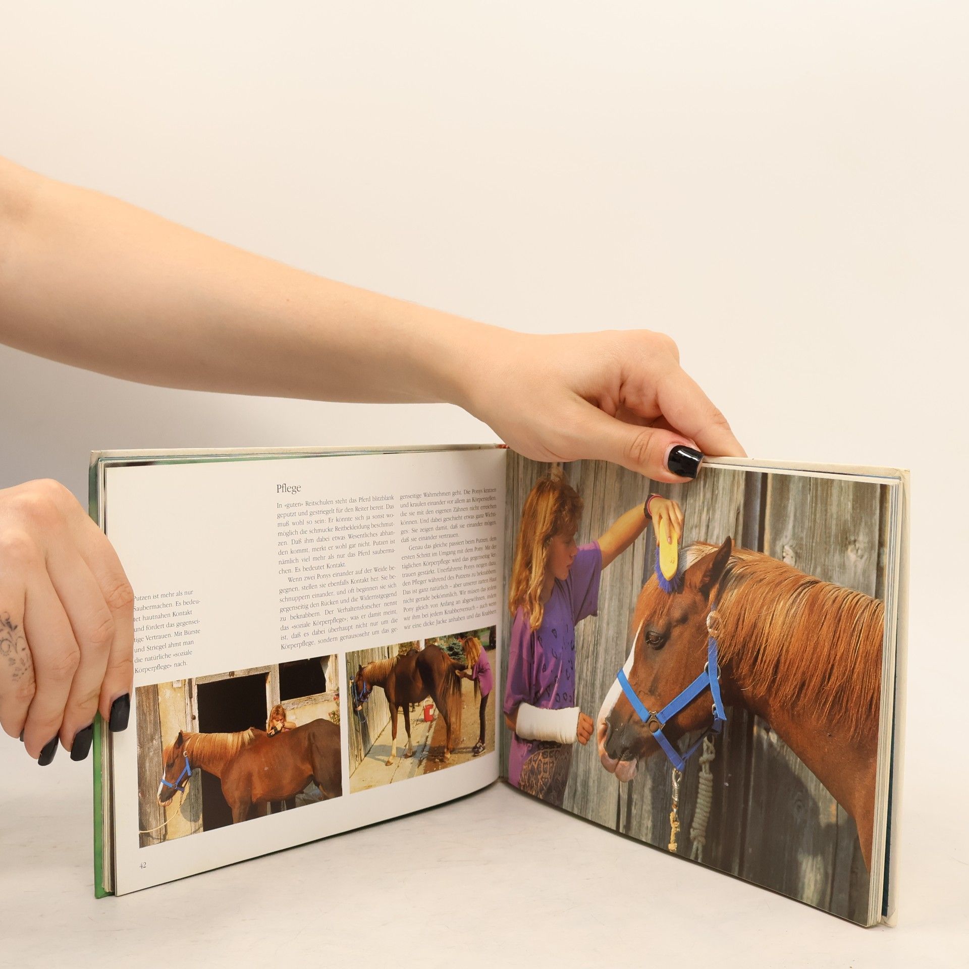 Monika Dossenbach Ponys. Pflege, Freundschaft, Rassen