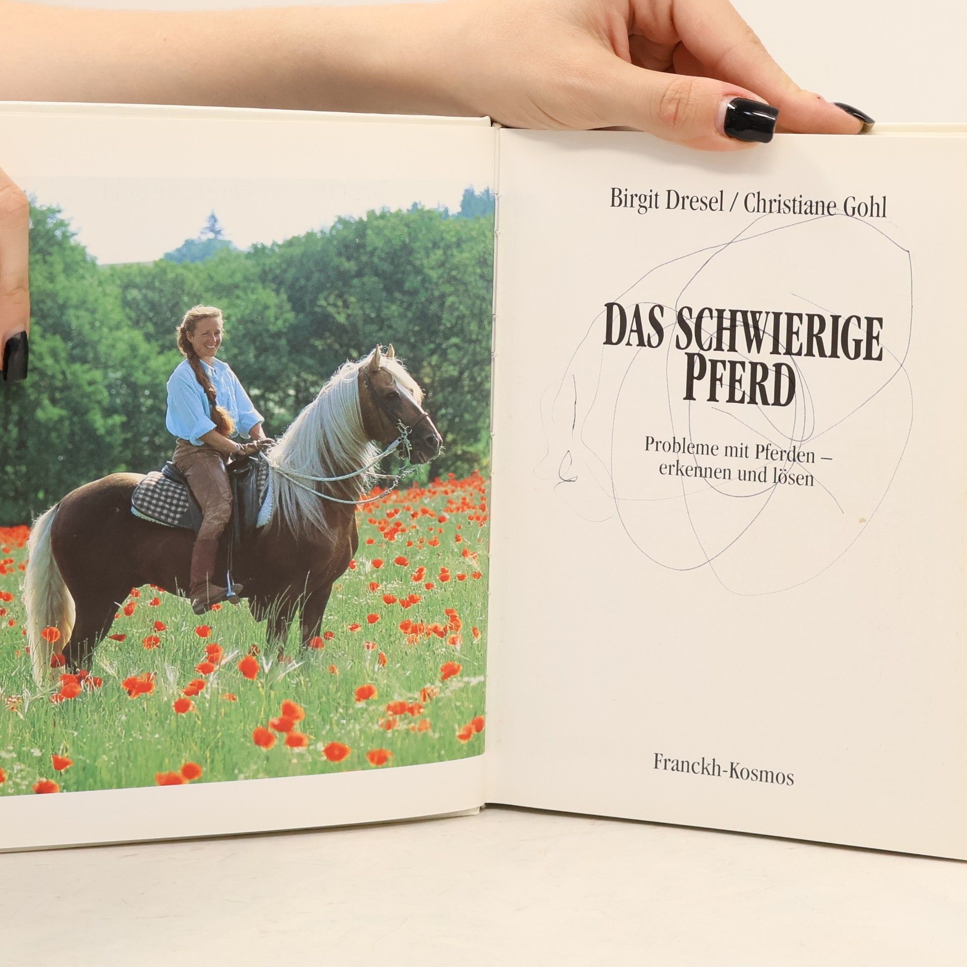 Birgit Dresel Das schwierige Pferd