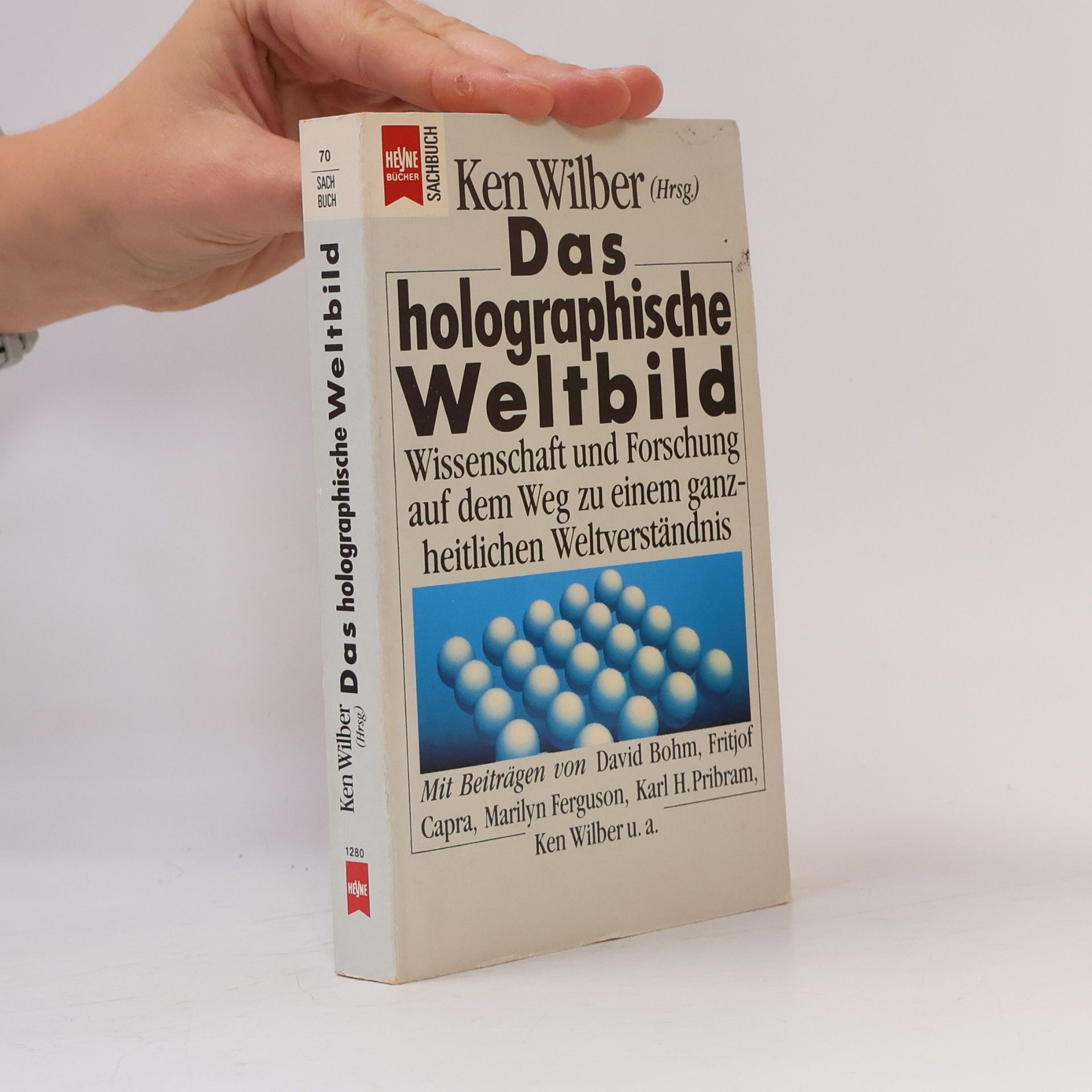 Das holographische Weltbild