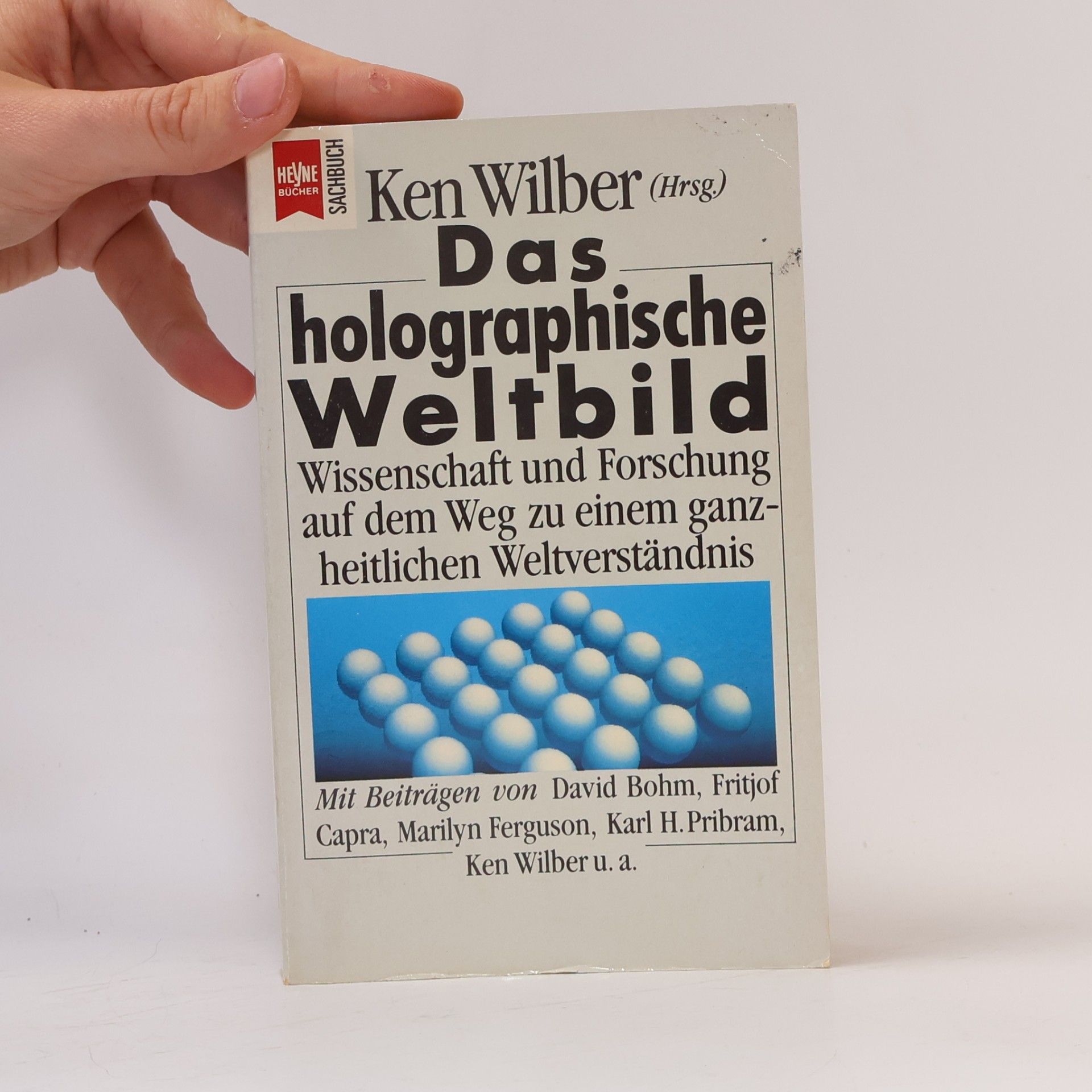 Ken Wilber Das holographische Weltbild