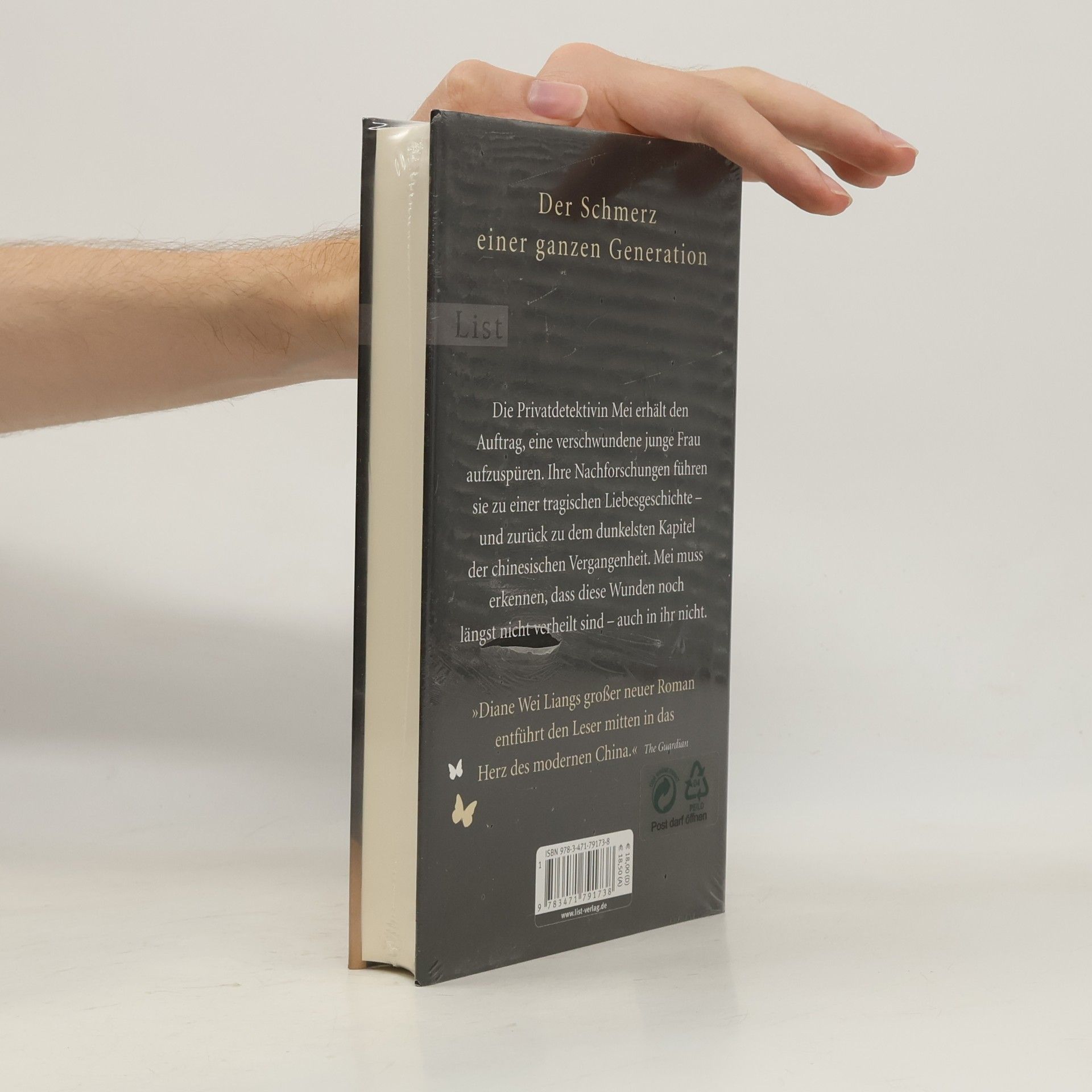 Diane Wei Liang Wie ein Schmetterling aus Papier: Roman