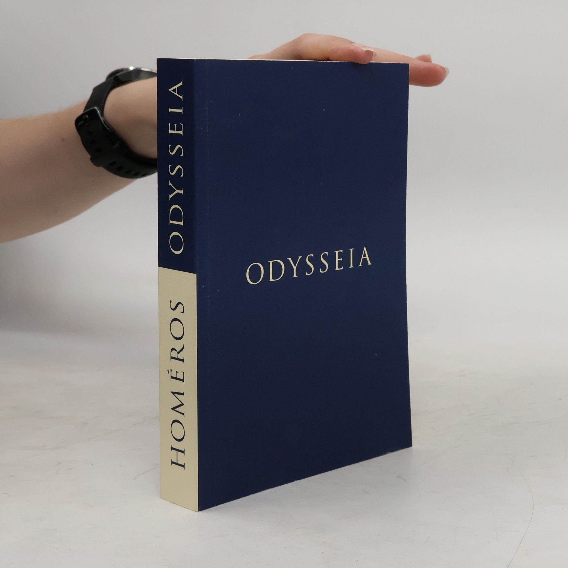 Homér Odysseia