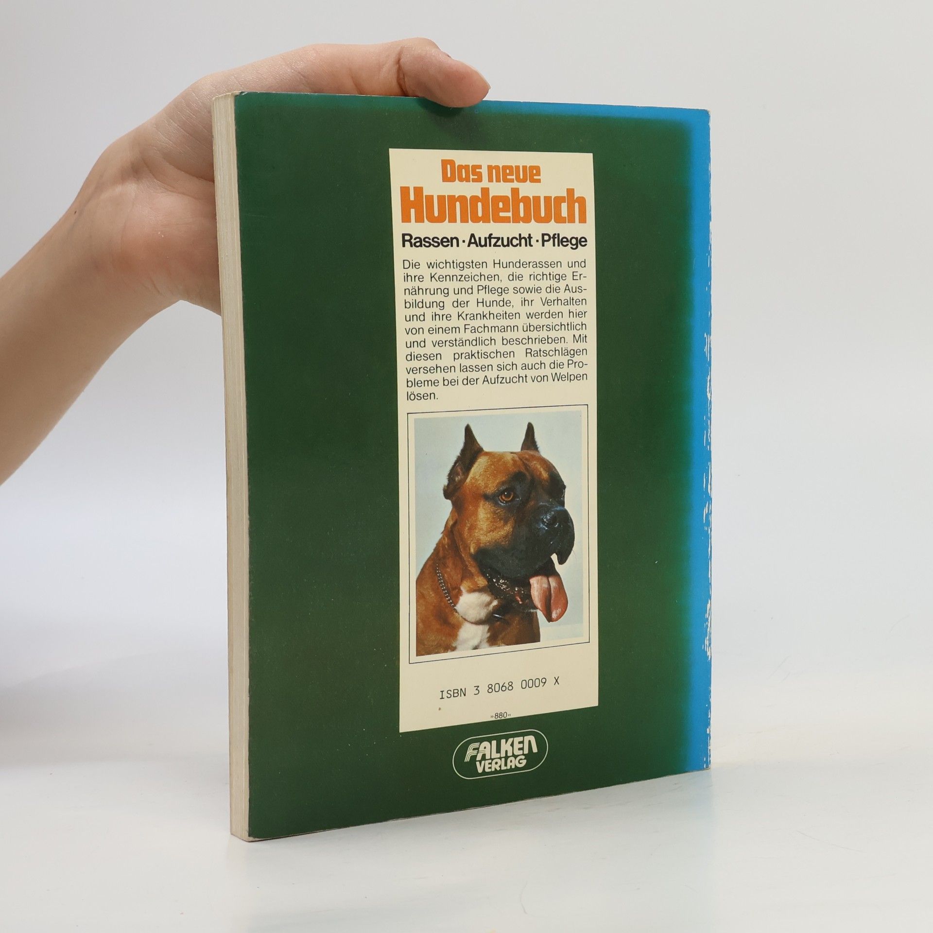 Walther Busack Das neue Hundebuch