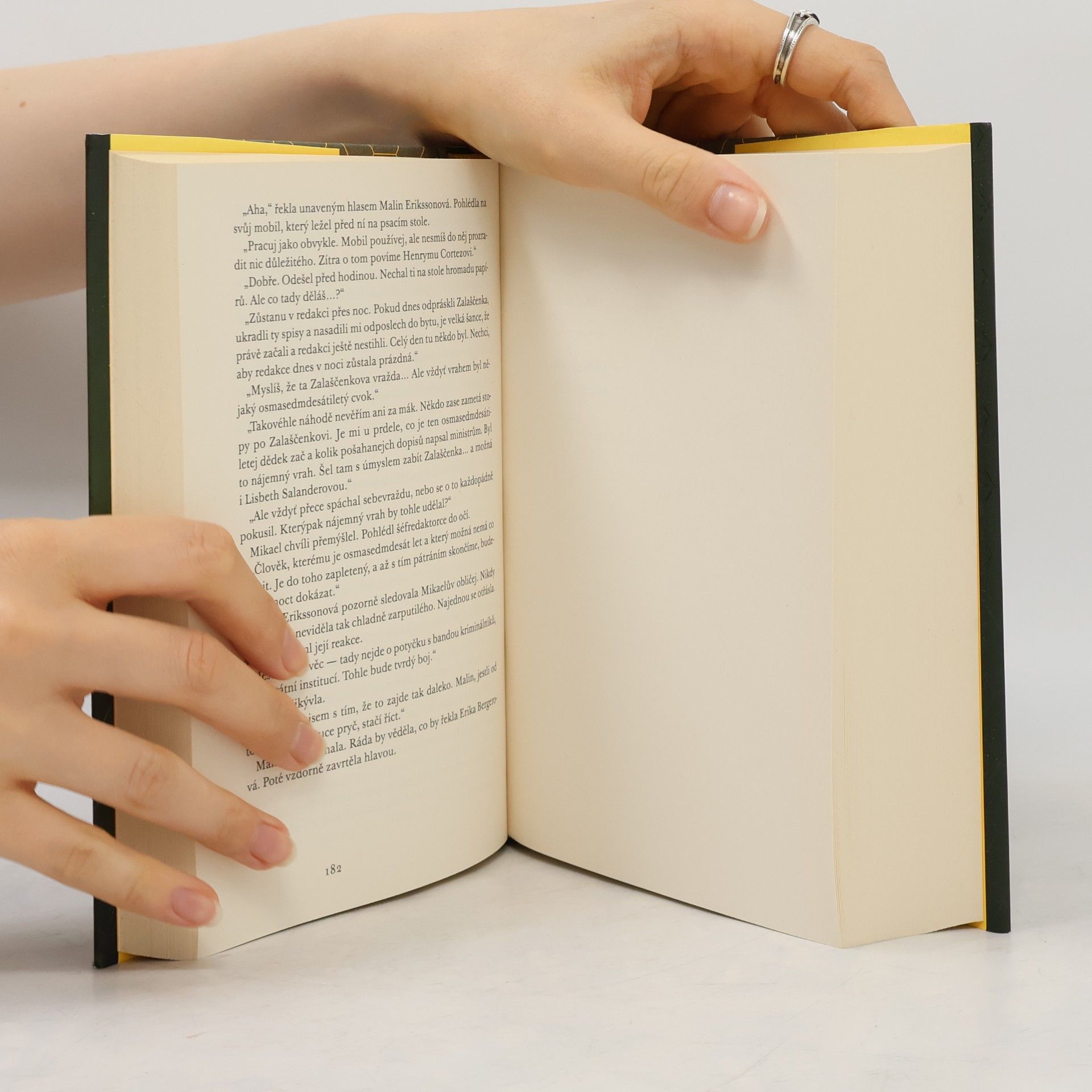Stieg Larsson Dívka, která kopla do vosího hnízda