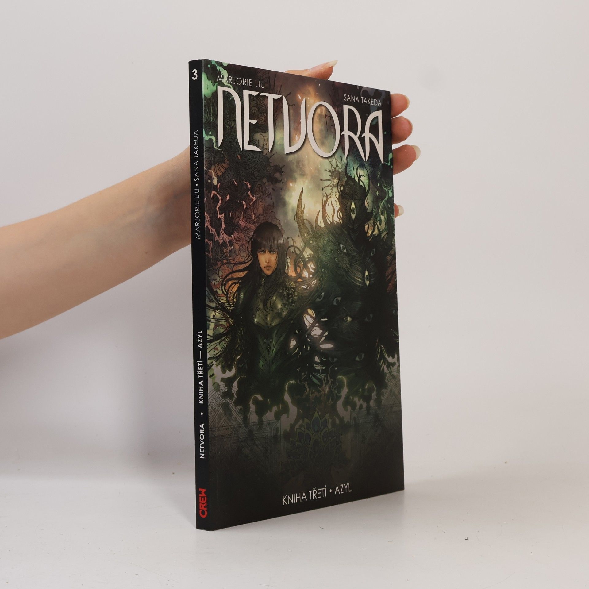 Marjorie Liu Netvora. Azyl. Kniha 3.