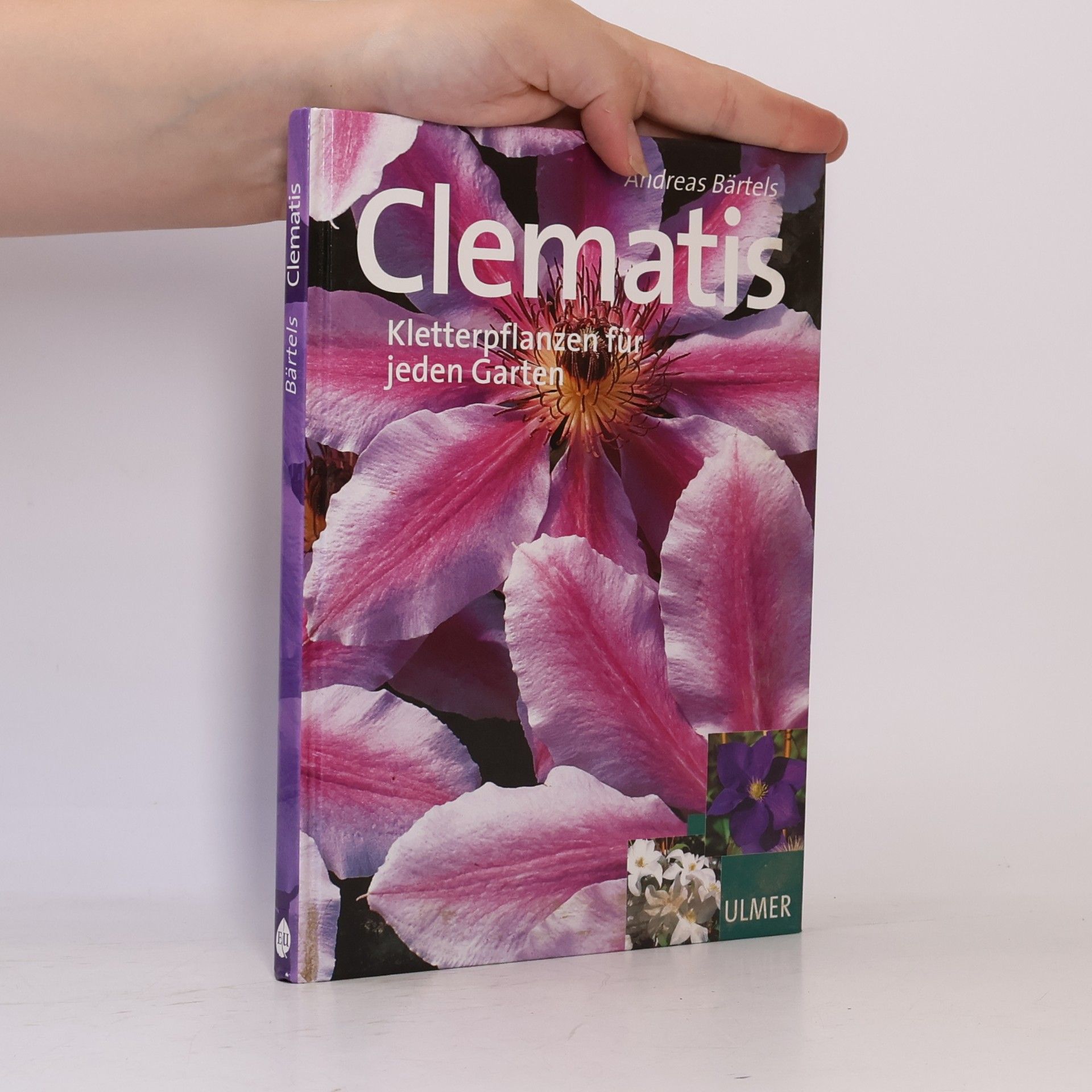 Andreas Bärtels Clematis