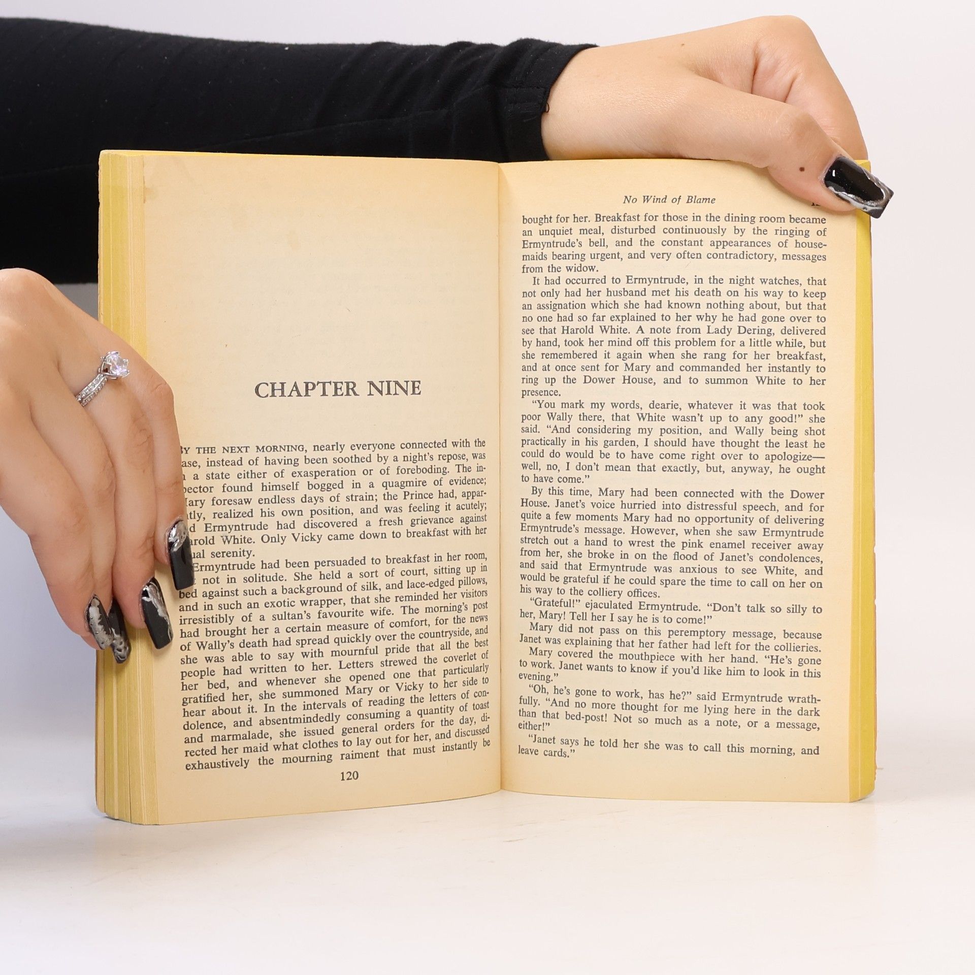 Georgette Heyer No Wind of Blame