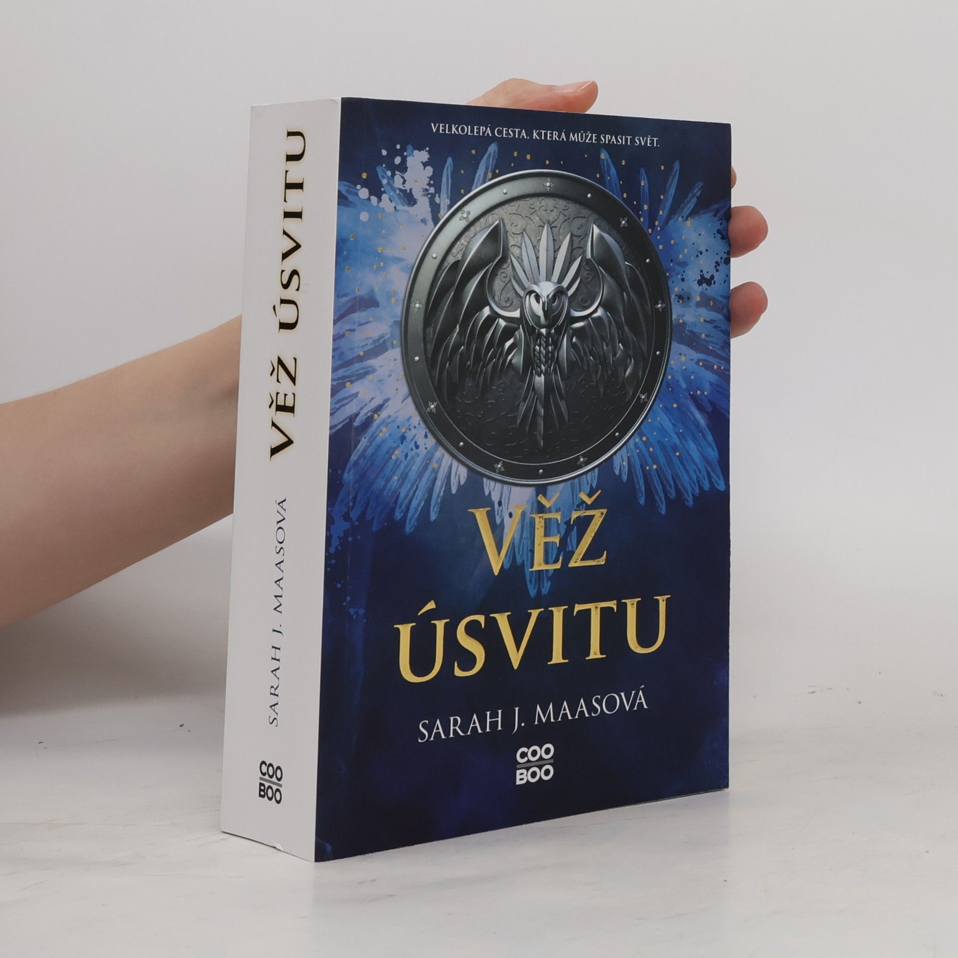 Sarah J. Maas Věž úsvitu