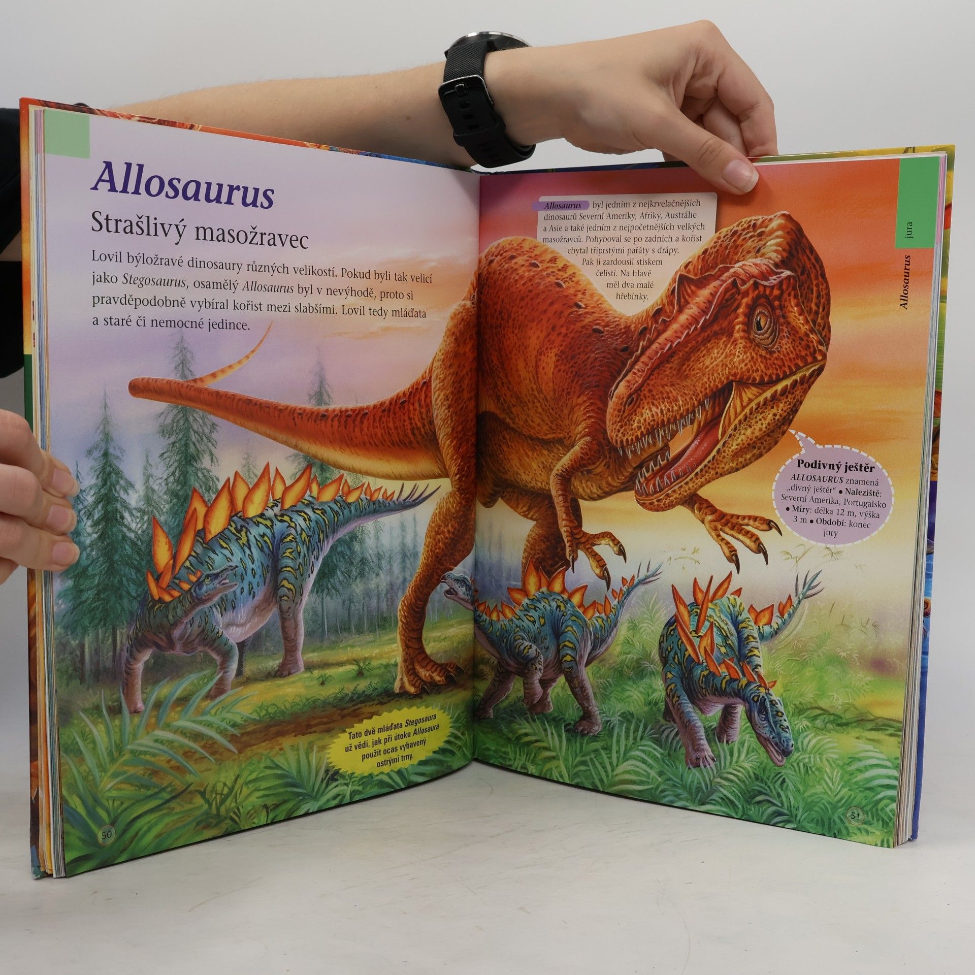 Francisco Arredondo Velká kniha. Svět dinosaurů