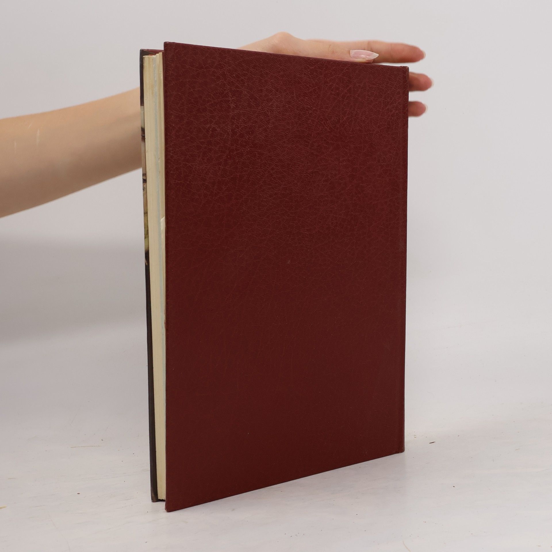 Various authors Storia della pittura. Rinascimento III