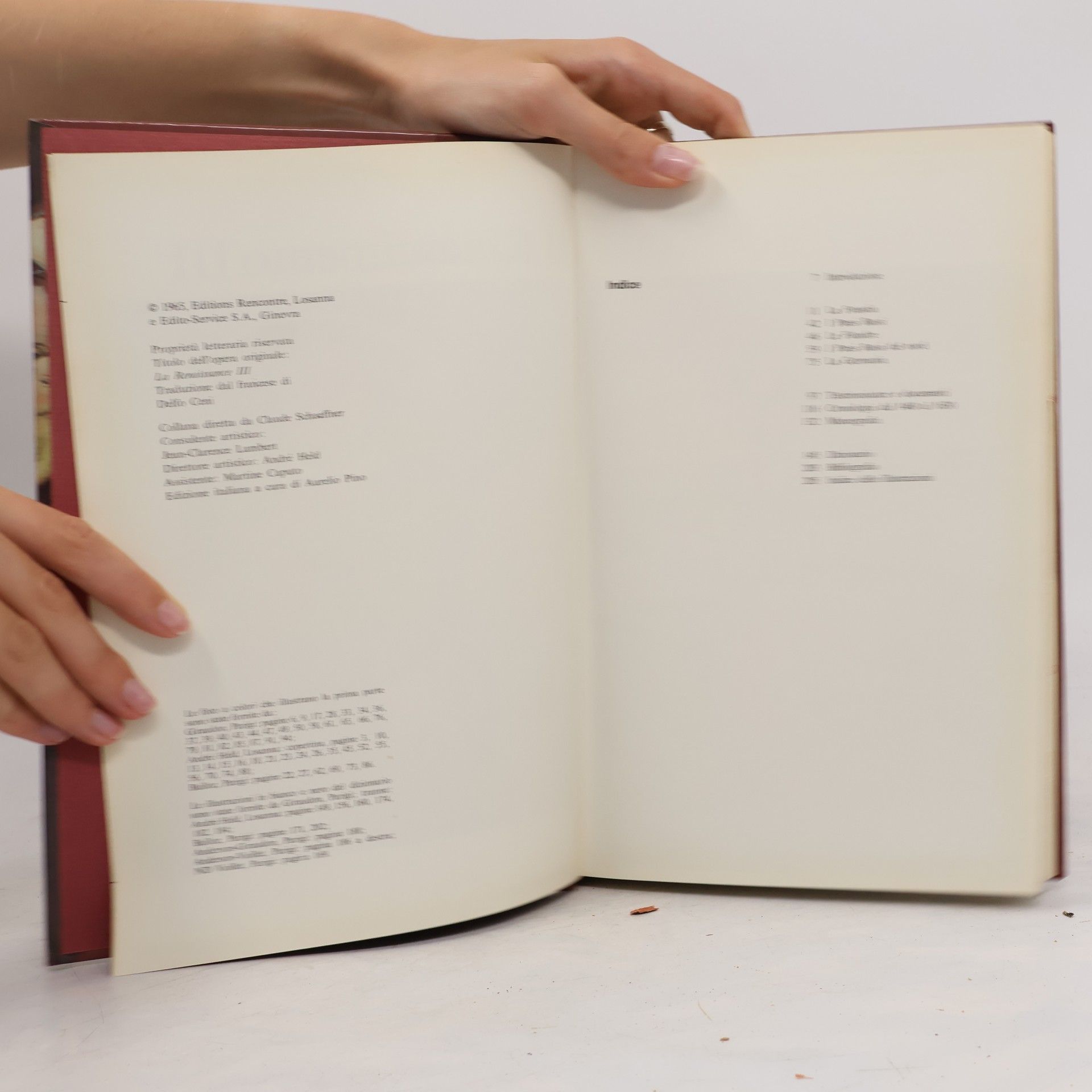 Various authors Storia della pittura. Rinascimento III