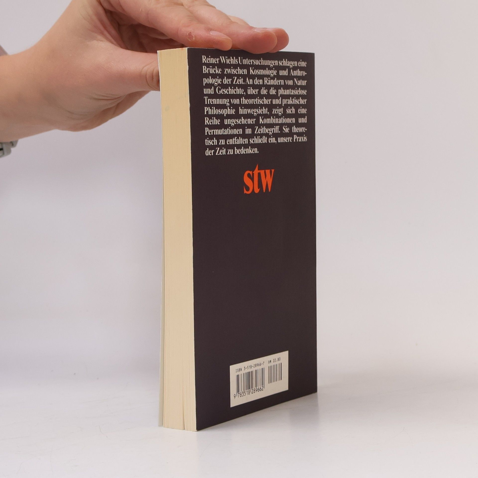 Reiner Wiehl Suhrkamp Taschenbuch Wissenschaft - 1366: Zeitwelten