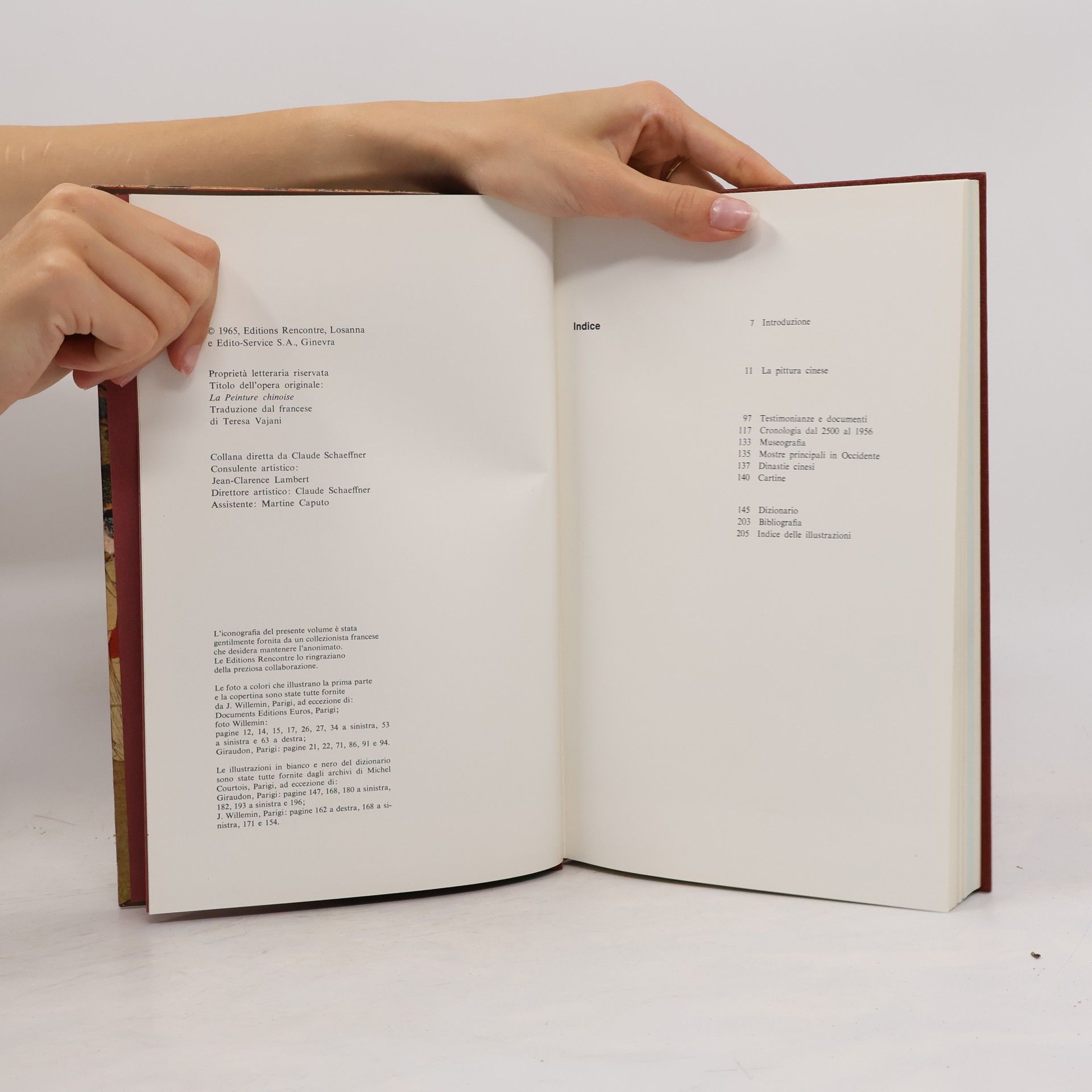 Various authors Storia della pittura. Pittura cinese
