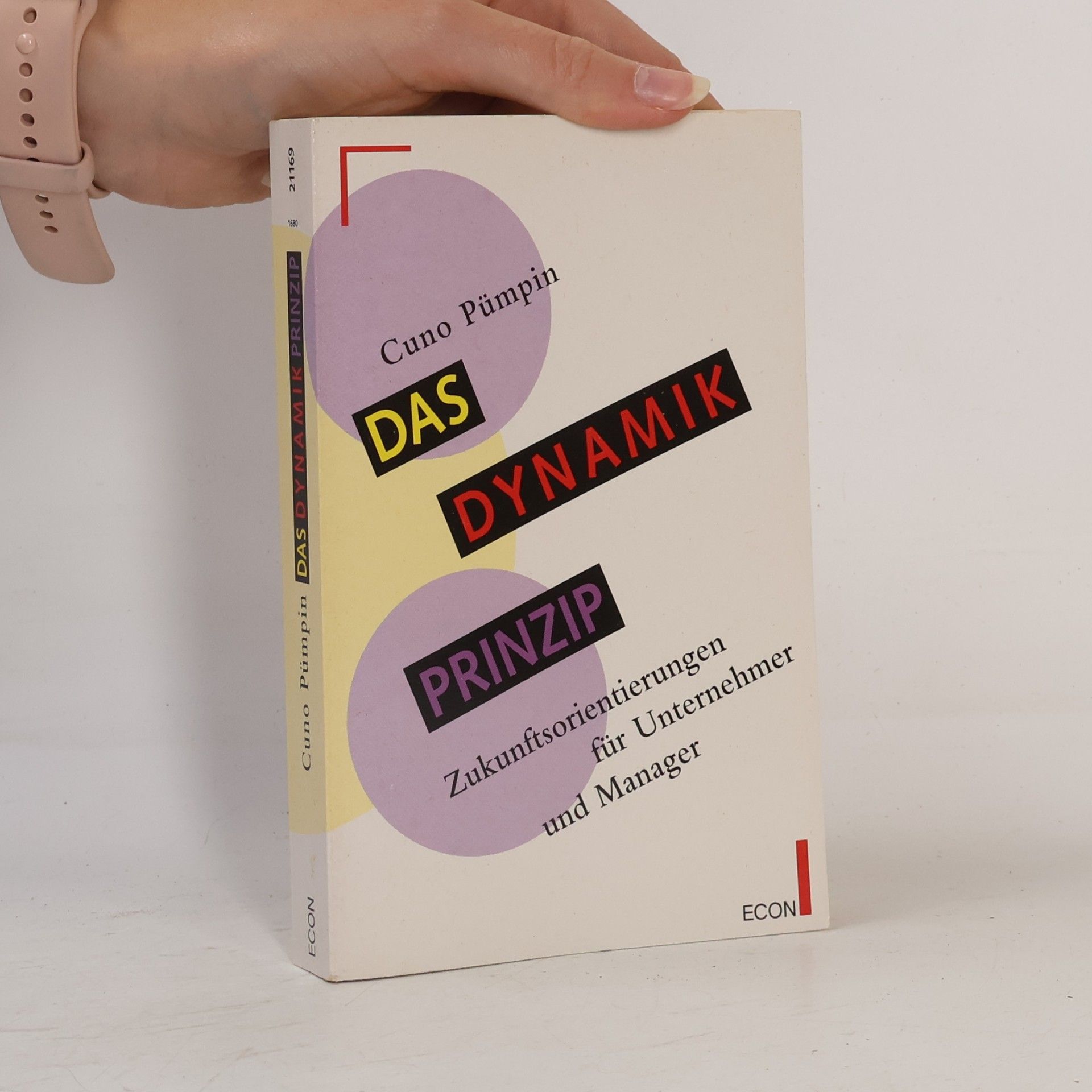 Cuno Pümpin Das Dynamikprinzip