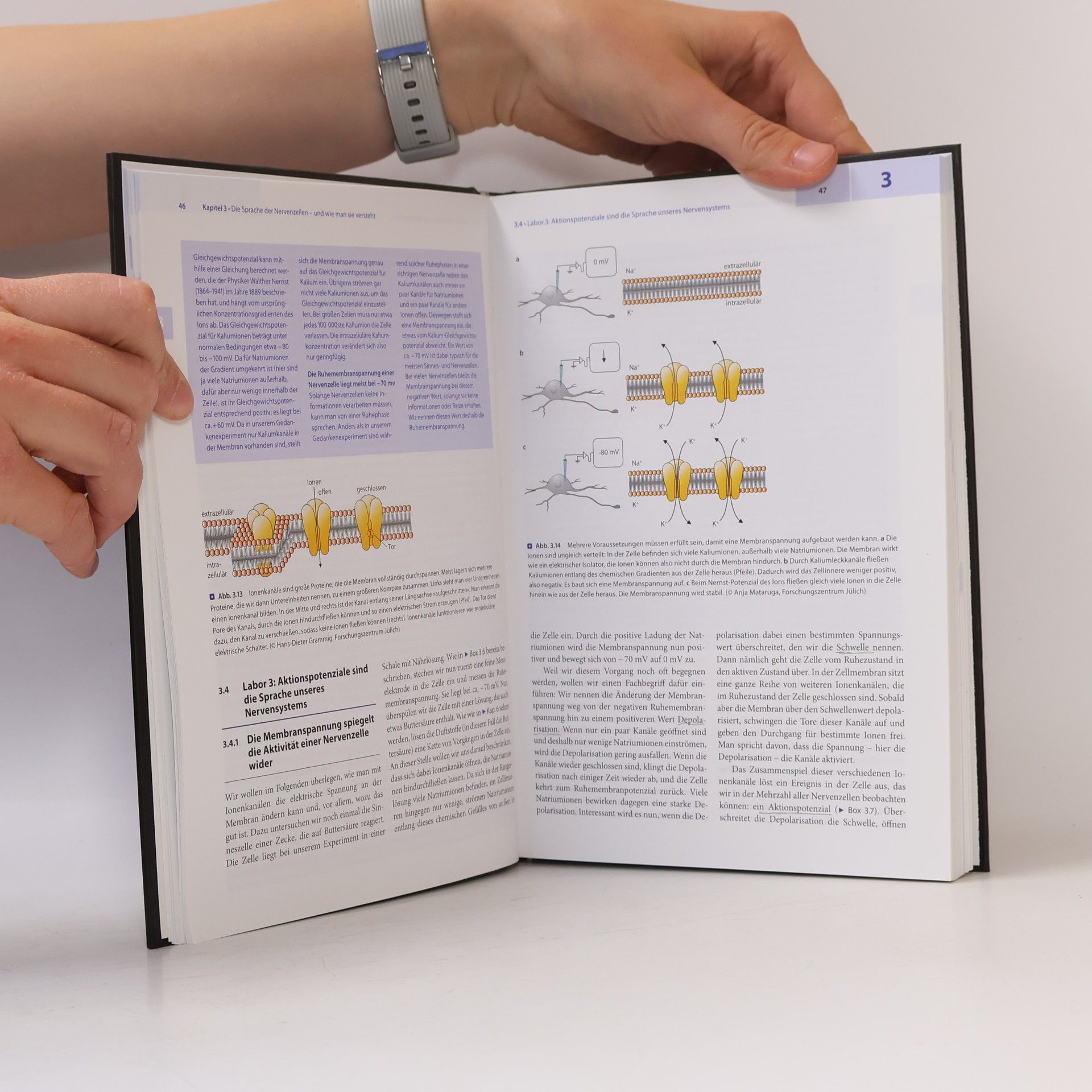 Stephan Frings Biologie der Sinne
