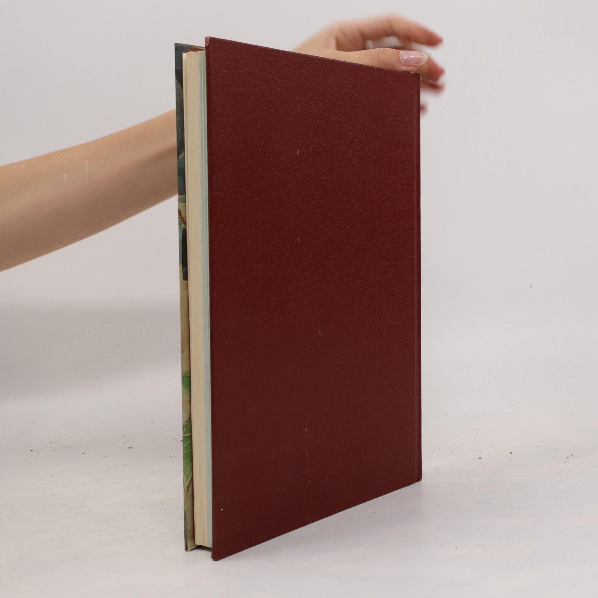 Various authors Storia della pittura. Cubismo