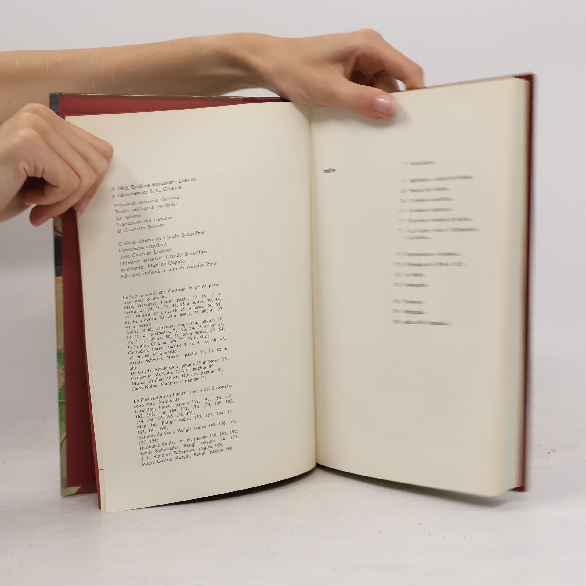 Various authors Storia della pittura. Cubismo