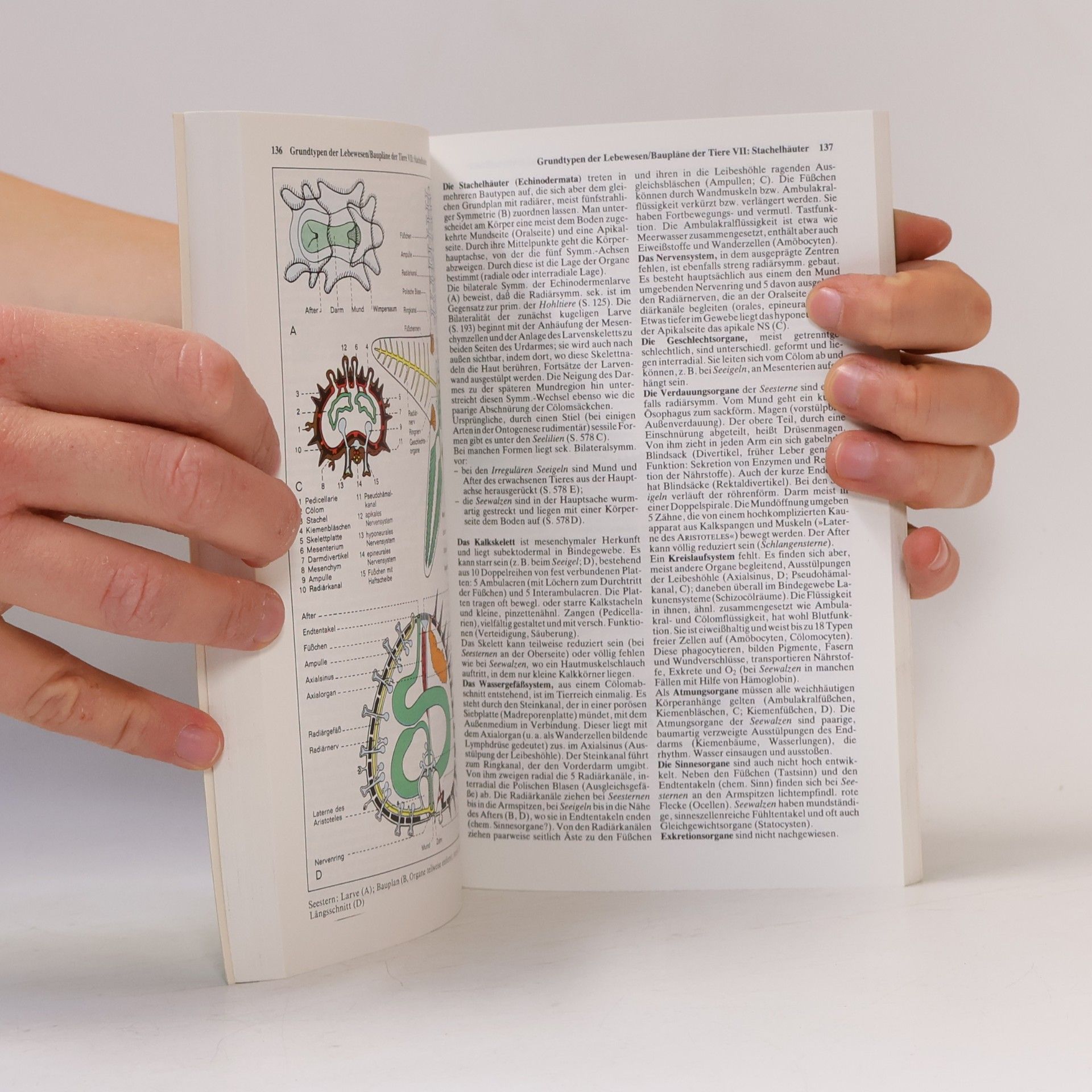 Günter Vogel dtv-Atlas zur Biologie 1