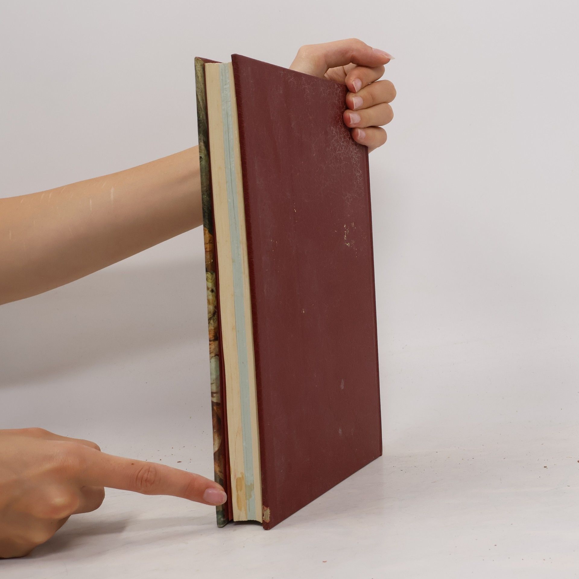 Various authors Storia della Pittura. XVII Secolo