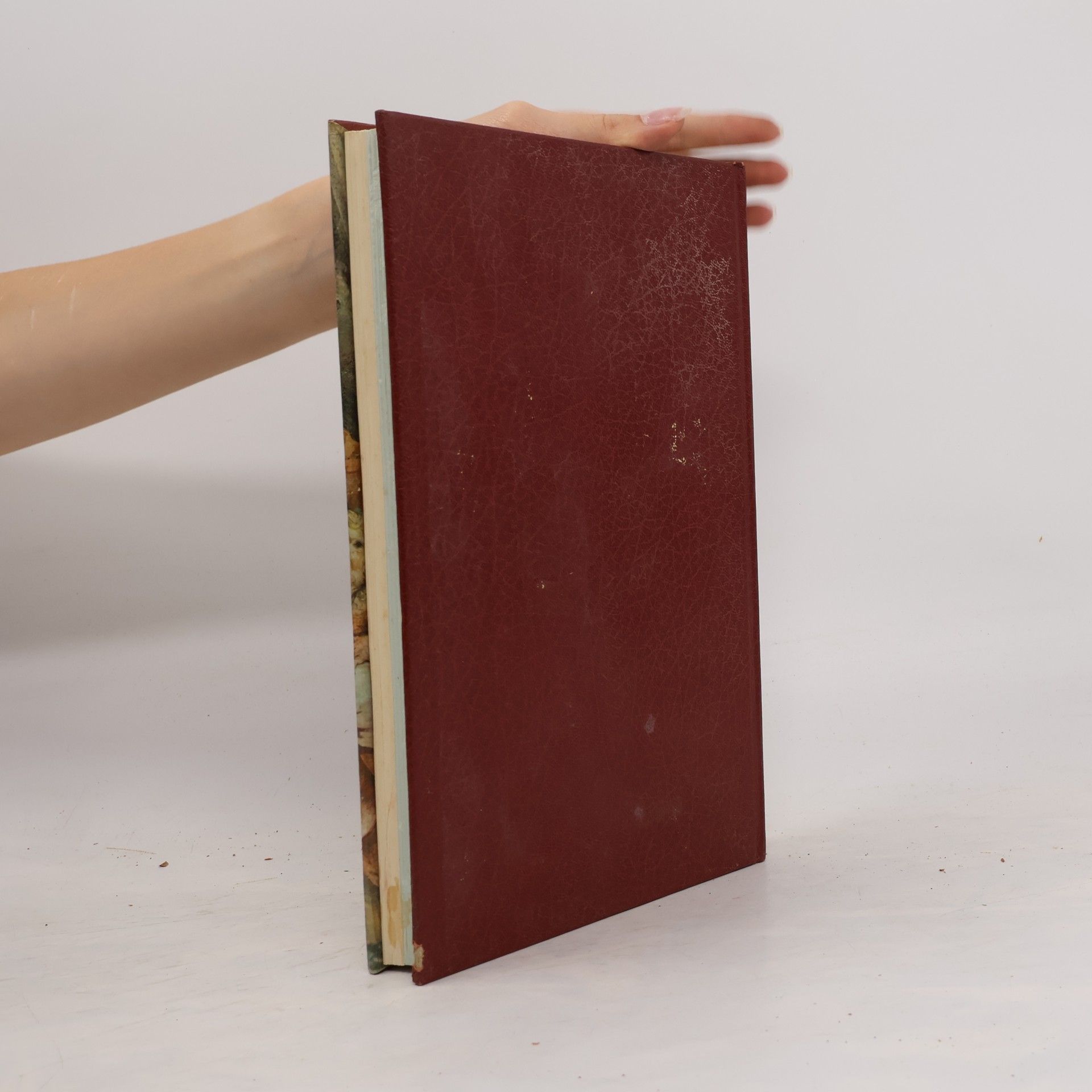 Various authors Storia della Pittura. XVII Secolo