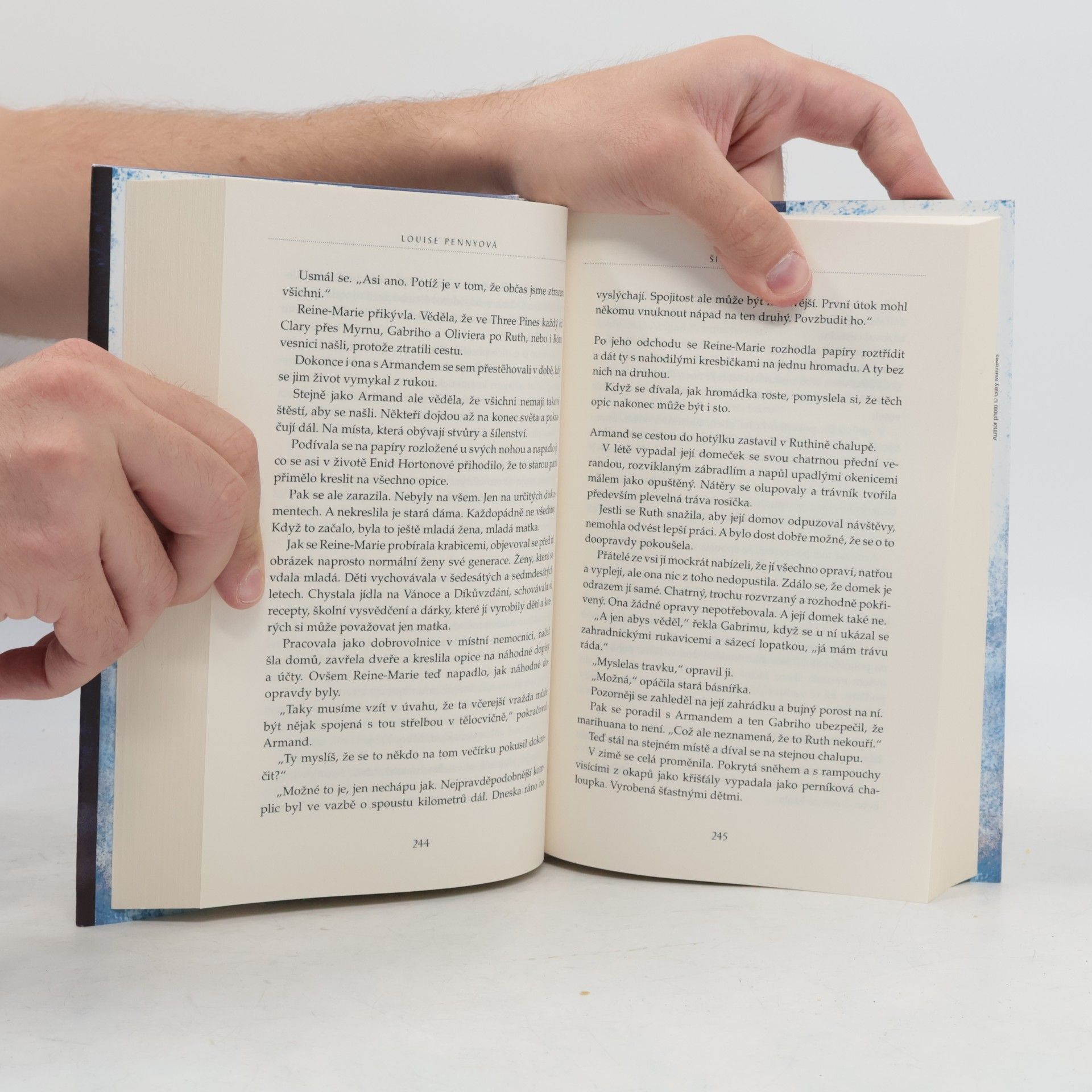 Louise Penny Šílenství davů