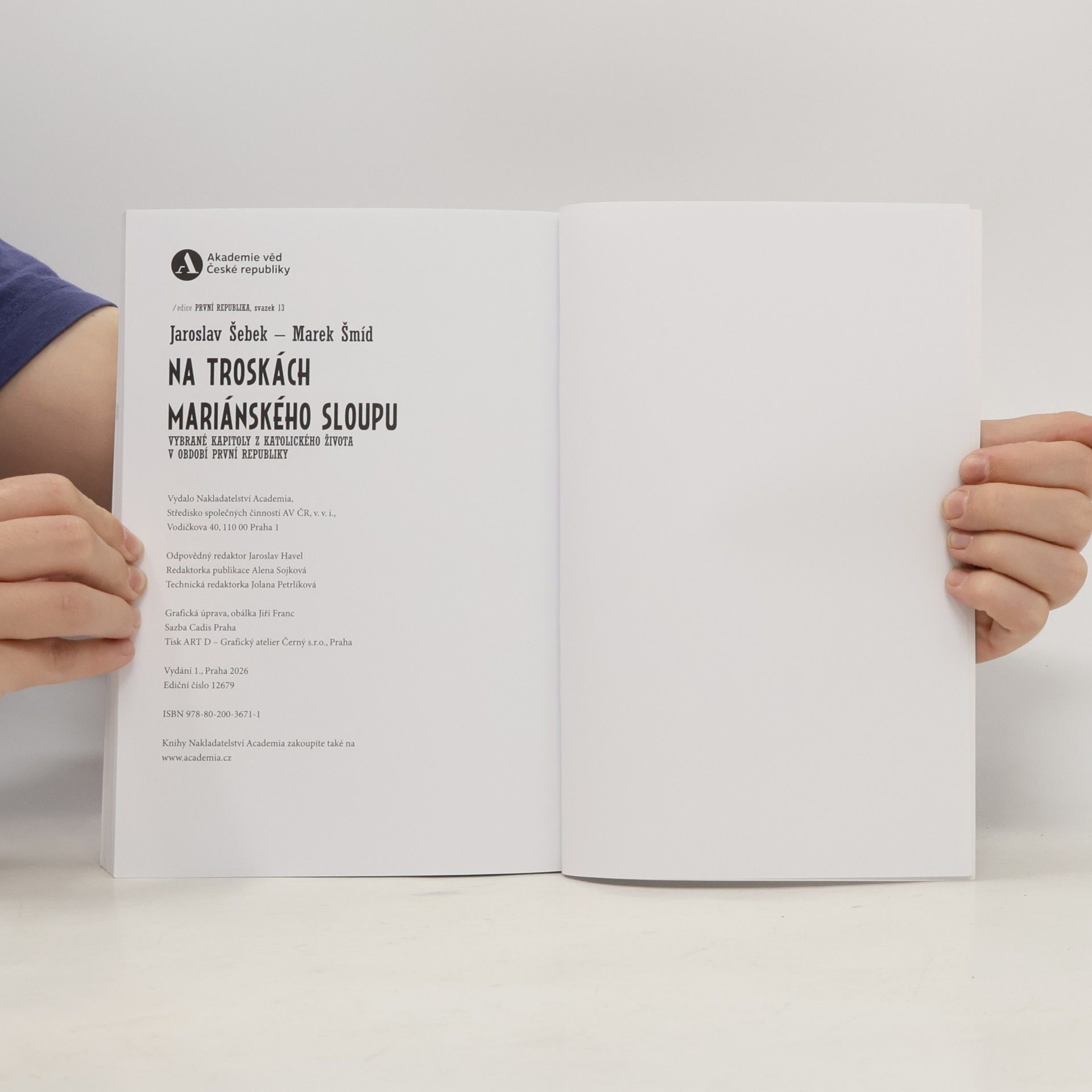 Jaroslav Šebek První republika: Na troskách Mariánského sloupu
