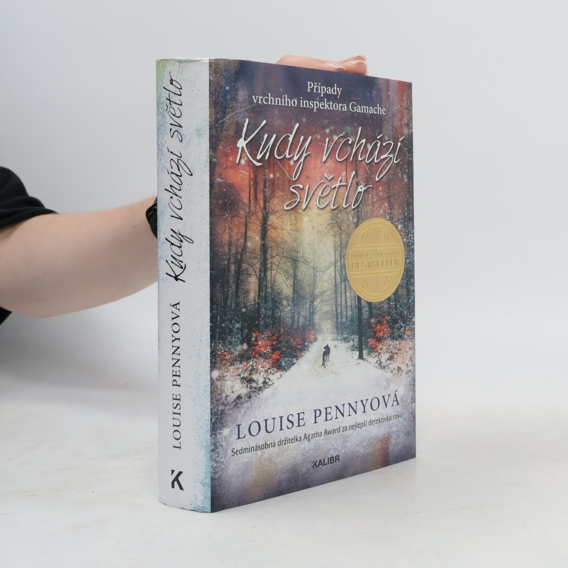Louise Penny Kudy vchází světlo