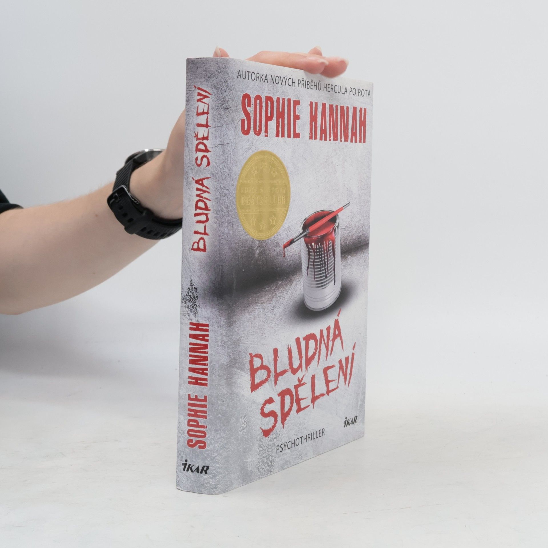 Sophie Hannah Bludná sdělení