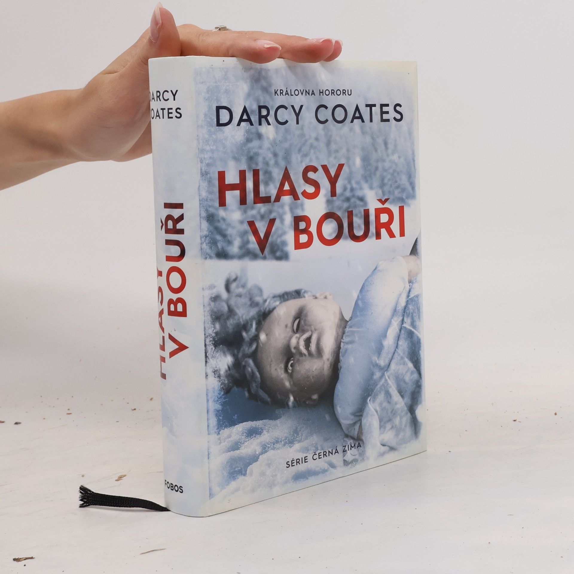 Darcy Coates Hlasy v bouři