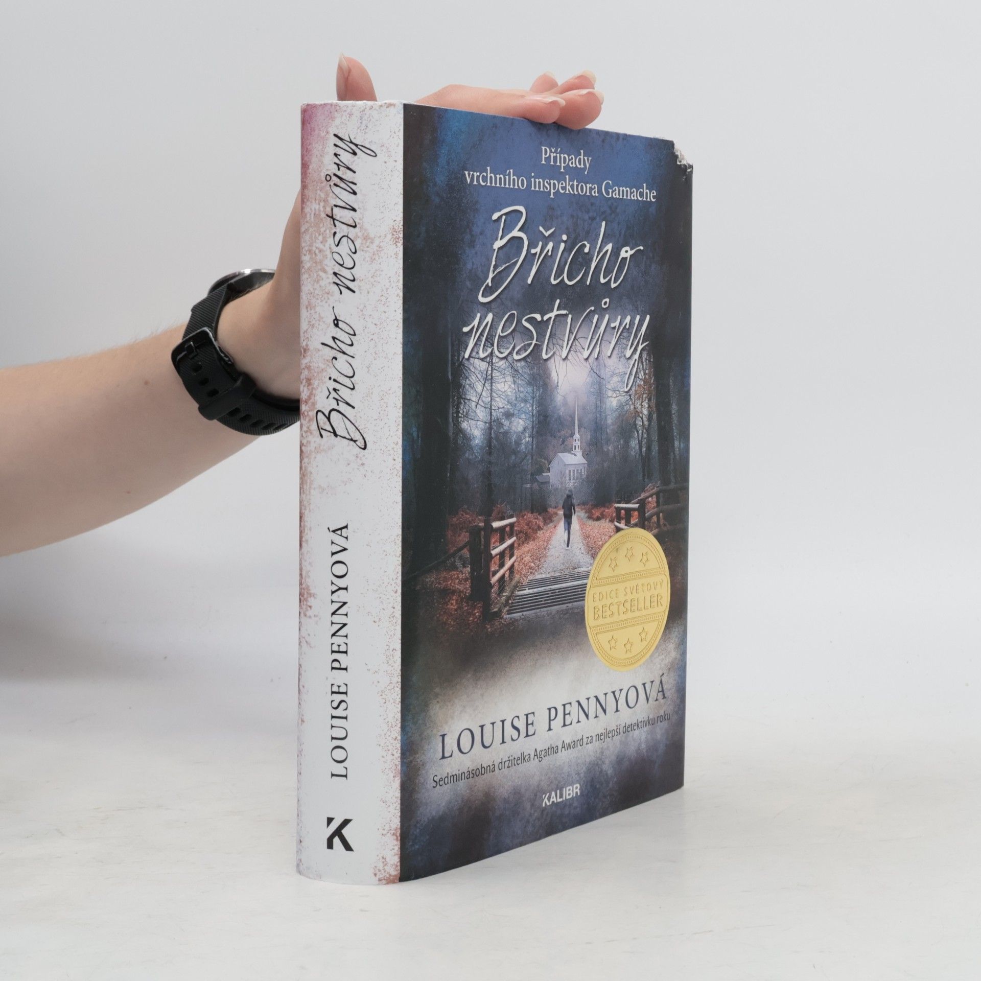 Louise Penny Břicho nestvůry