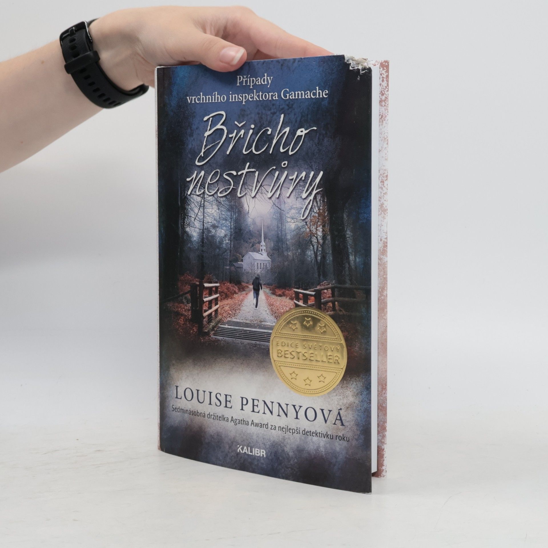 Louise Penny Břicho nestvůry