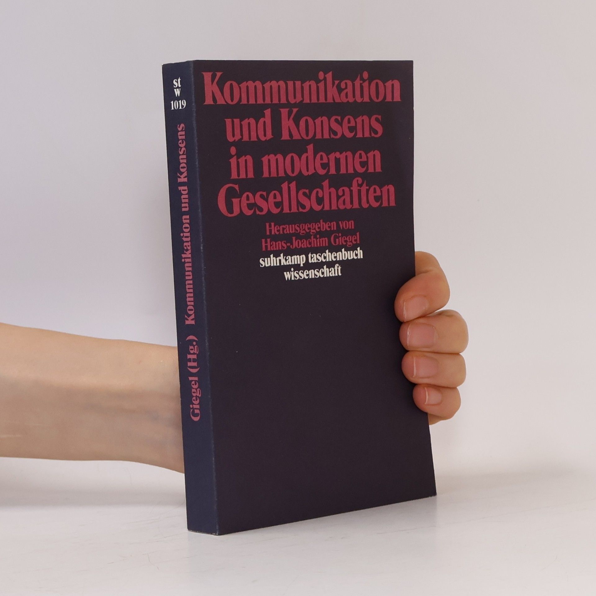 Hans-Joachim Giegel Suhrkamp Taschenbuch Wissenschaft - 1019: Kommunikation und Konsens in modernen Gesellschaften