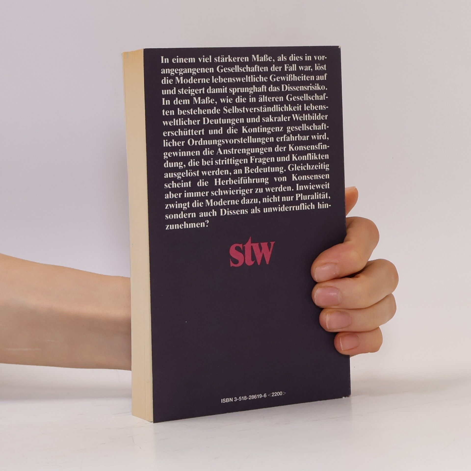 Hans-Joachim Giegel Suhrkamp Taschenbuch Wissenschaft - 1019: Kommunikation und Konsens in modernen Gesellschaften
